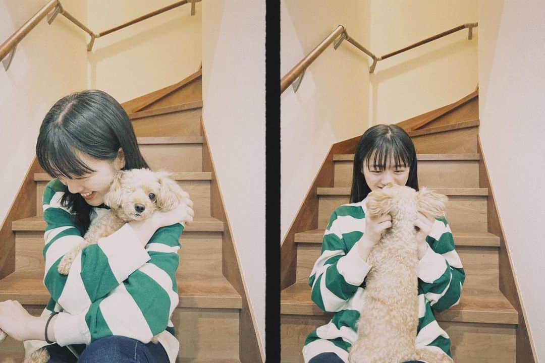 希山愛のインスタグラム：「* ここちゃんお誕生日おめでとう🐶🤍  最近は私がお芋食べよったら ここちゃんも欲しい！って来てくれるけん しゅくるんと3人で お芋時間を楽しんでます🍠✨️  甘えんぼうさんなここちゃんが大好きよ〜🥰！  #愛犬 #犬ちゃん #Happybirthday  #生まれてきてくれてありがとう ☺️」