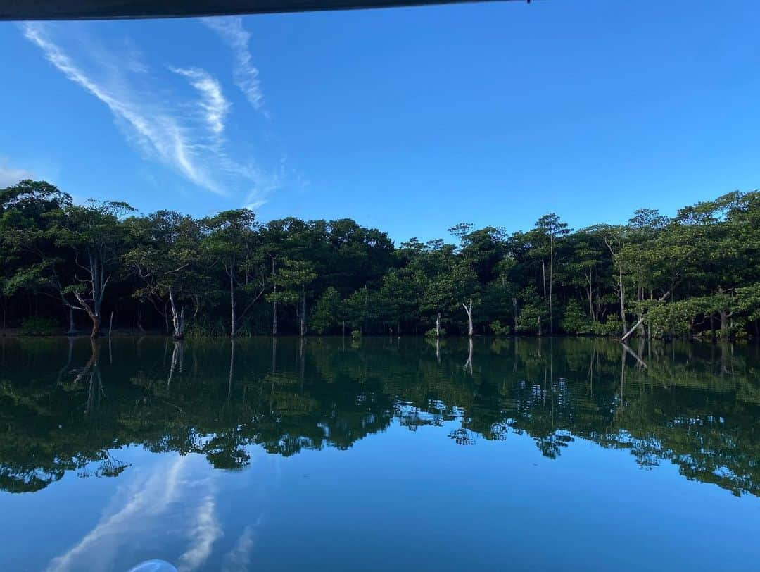 牧田習さんのインスタグラム写真 - (牧田習Instagram)「昆虫たちはもちろん、いろんな西表島が見れて幸せでした✨  #アナザースカイ #anothersky」10月23日 19時49分 - shu1014my