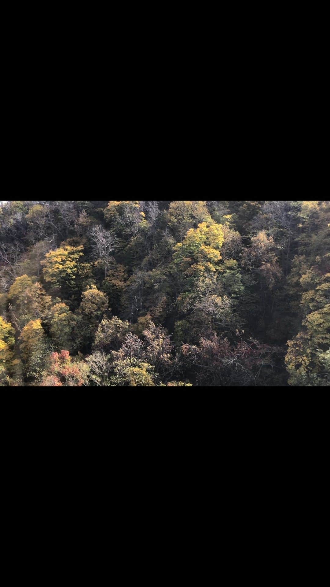 井山三希子のインスタグラム：「・ 今日は市内観光 何度も来ている北海道だけど 藻岩山には行ってなかった もちろんロープウェイで 天気も良好で紅葉も美しかった」