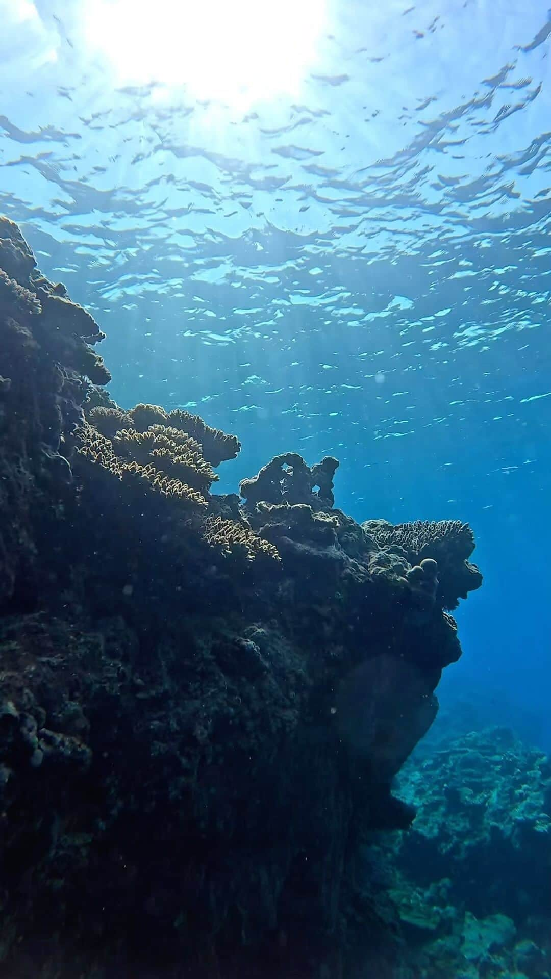 ToyoMaruのインスタグラム：「Let's go to the  SEA🏖️🧜‍♀️🫧 癒しをお届け✨  動画は#nofilter #加工なし です🎥  沖縄の海最高すぎです🌺 美しい世界がすぎる🐠  みんなで、この世界を大切にしていきましょう🌏  1日も早く、全世界の人が平和な世界で、 笑顔で過ごせる日々が訪れますように🕊️🕊️🕊️  @goprojp  #gopro12   「控えめに言って、最高✨✨」  慶良間諸島・チービシ無人島へ🏝 那覇から船で約20分で到着🛥  水中撮影🐟 ドローン撮影🚁 360度カメラ撮影 映え撮影はお任せください😁  皆さんと素敵な瞬間を共有できることを 楽しみにしてます🧜‍♀️🌺🫧  ◆◆◆2023とよまるツアー◆◆◆ ・無人島映えツアー🏝 ・スキンダイビングツアー ・1日1組限定🏖船チャーター海遊び⚓️ ・慶良間ダイビング🤿 ・ジェットスキーツーリング🌊 ・船上BBQ🍖…etc お気軽になんでもリクエストください😁  2023年2月〜3月 沖縄本島・那覇発🛥ホエールスイム🐳  2023年1月〜4月 与那国trip✈️ハンマーツアー🦈  2023年11月モルディブtrip✈️ 初の島ステイが実現🏖  開催します👏👏👏 それぞれ詳細お知らせします🤗 ご興味ある方📩DMください！ ご予約・お問い合わせお待ちしております ⚓️⚓️⚓️⚓️⚓️⚓️⚓️⚓️  #映え職人  #映えまる  #映えまる水産  #とよまるツアー  #toyomaru号  #okinawa  #skindiving  #gopro  #travel  #sea  #沖縄 #沖縄旅行 #旅行  #スキンダイビング  #無人島 #水着  #慶良間諸島 #ドローン  #インスタ映え  #網美景點 #沖繩 #沖繩旅遊  #潛水 #自由潛水  #leaderfins #タビジョ」