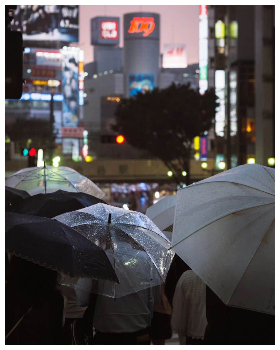 Takashi Yasuiのインスタグラム：「Tokyo ☔ June 2017  📕My photo book - worldwide shipping daily - 🖥 Lightroom presets ▶▶Link in bio  #USETSU #USETSUpresets #TakashiYasui #SPiCollective #filmic_streets #ASPfeatures #photocinematica #STREETGRAMMERS #street_storytelling #bcncollective #ifyouleave #sublimestreet #streetfinder #timeless_streets #MadeWithLightroom #worldviewmag #hellofrom #reco_ig」