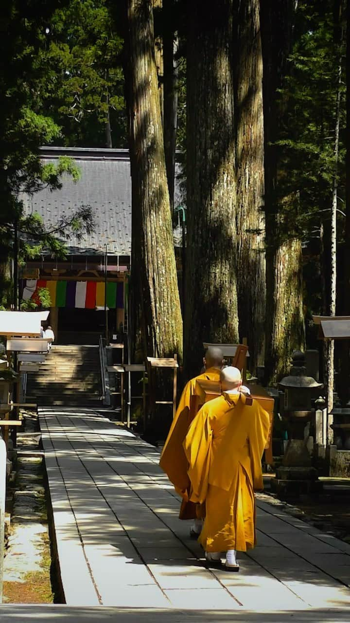 Conrad Osakaのインスタグラム：「大阪を飛び出しで京都や和歌山へ。 日本の伝統と文化に触れ、インスパイアリングな旅を。  Venture beyond Osaka to Kyoto and Wakayama. Experience Japan's traditions and culture, and embark on a journey that soothes the soul with scenic beauty.  Share your own images with us by tagging @conradosaka ————————————————————— #コンラッド大阪 #コンラッド #中之島 #大阪ホテル #関西ホテル #ホテルステイ #大阪観光 #京都観光  #conradosaka #conrad #nakanoshima #ikyu_travel #osakasightseeing #osakahotel #stayinspired」