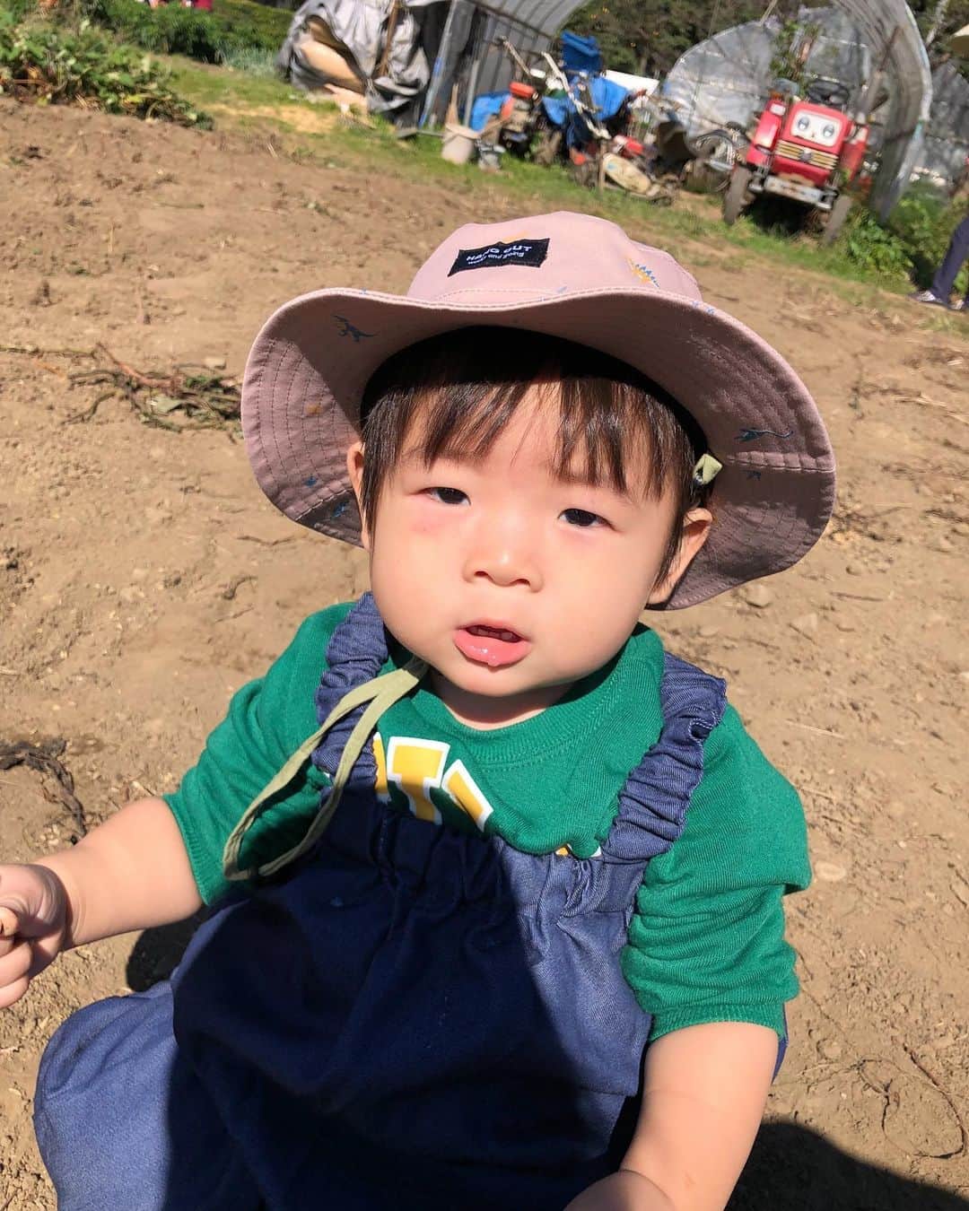 扇久保博正のインスタグラム：「初芋掘り🥔」