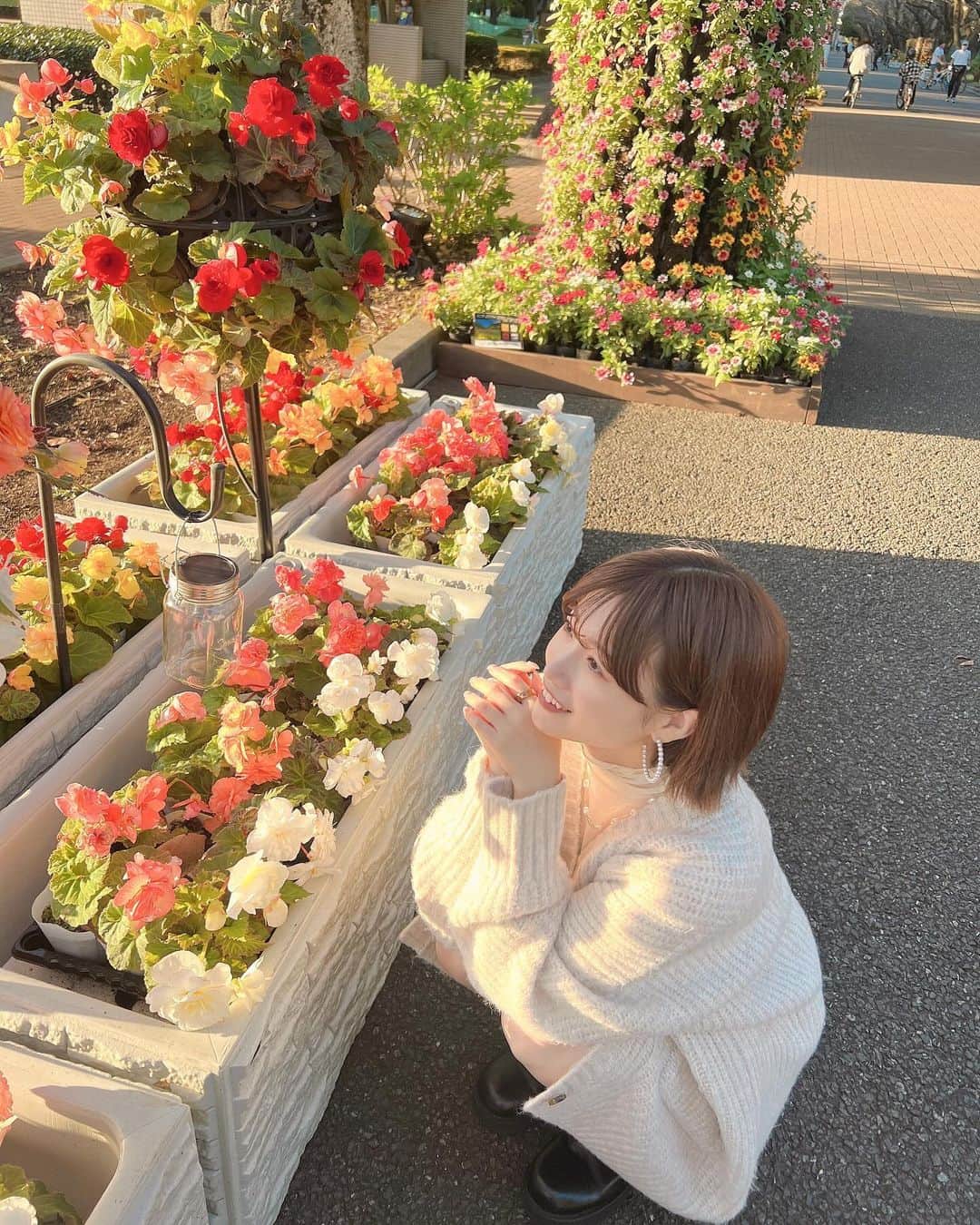 のインスタグラム：「今年初のイルミネーション✨ 大好きな季節がやってきて、るんるんです♡  府中の森公園の「花と光のムーブメント」💐🫧 特設花壇で沢山のお花たちがあって癒されました♡リフレッシュ🍃 （ライトアップは17：30～21：00）  11月5日（日）まで開催中みたいなのでぜひ皆さんも癒されに行ってみて下さいね☺️ モニュメント噴水のフォトスポットや、「ちはやふる」の描き下ろしオリジナルイラストのフォトフレームなど、 撮影スポットもあるのでおすすめ📸 期間限定のお花のソフトクリームもかわいくて美味しかった🌼  わんちゃんが沢山お散歩していて、たるとと一緒に行きたかったなあ〜🐕🤍  @tokyo_parks #PR #花と光のムーブメント #府中の森公園 #ライトアップ」