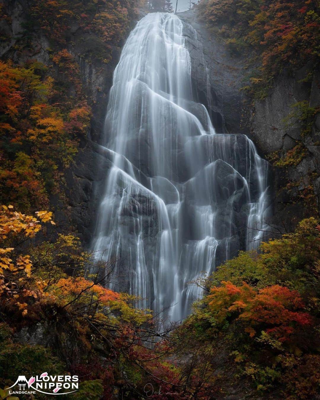 Only Japanese photographsのインスタグラム：「🇯🇵Today's LoversNippon Selection🇯🇵 . Artist｜@_oaaak Selected｜@nakashi726 . Follow : @lovers_nippon Tag : #lovers_nippon ＿＿＿＿＿＿＿＿＿＿＿＿＿＿＿＿＿＿＿ ￣￣￣￣￣￣￣￣￣￣￣￣￣￣￣￣￣￣￣￣ @_oaaak 様 おめでとうございます✨ 素敵な作品にタグ付けありがとうございます🙏 今後ともLoversNipponを宜しくお願い致します✨ ＿＿＿＿＿＿＿＿＿＿＿＿＿＿＿＿＿＿＿＿ ￣￣￣￣￣￣￣￣￣￣￣￣￣￣￣￣￣￣￣￣ #日本 #風景 #写真 #風景写真 #scenery #nature」
