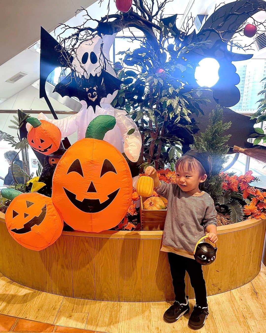 長谷川真美さんのインスタグラム写真 - (長谷川真美Instagram)「Happy Halloween👻🎃💀  池袋東武 @tobu_ikebukuro さんの Halloween 公式アンバサダーに選んでいただいたので 親子で #池袋 の東武百貨店 へ行ってきました🙌💓  まずはB2,B1の食品売り場へ💡 可愛いハロウィンスイーツ＆グルメがたっくさん！！ お持ち帰り用にハロウィンチョコを購入したあと 2階の #タカノフルーツパーラー へ✨ @takano_fruitparlour_official  10/31まで限定のハロウィン限定デザート #ハロウィンパフェ と #ハロウィンワッフル を注文🎃 (子どもがいるから低めのグラスに変えてくれたよ🥄✨) 秋のフルーツが盛りだくさんで 見た目もとても可愛かった〜🤭💕  11階のレストランフロアには ハロウィンのフォトブースも発見💡  手には #morozoff @morozoff_sp で購入した ハロウィン商品の黒猫さん🐈‍⬛🐈‍⬛🐈‍⬛ 猫好きなきゅう君嬉しそう💓 今年のハロウィン大活躍しそうだな🤭  お気に入りのハロウィンスイーツを探しに ぜひ池袋東武に行ってみてね〜🙌  @tobu_ikebukuro  #池袋東武ハロウィンアンバサダー」10月23日 21時13分 - maami.hase
