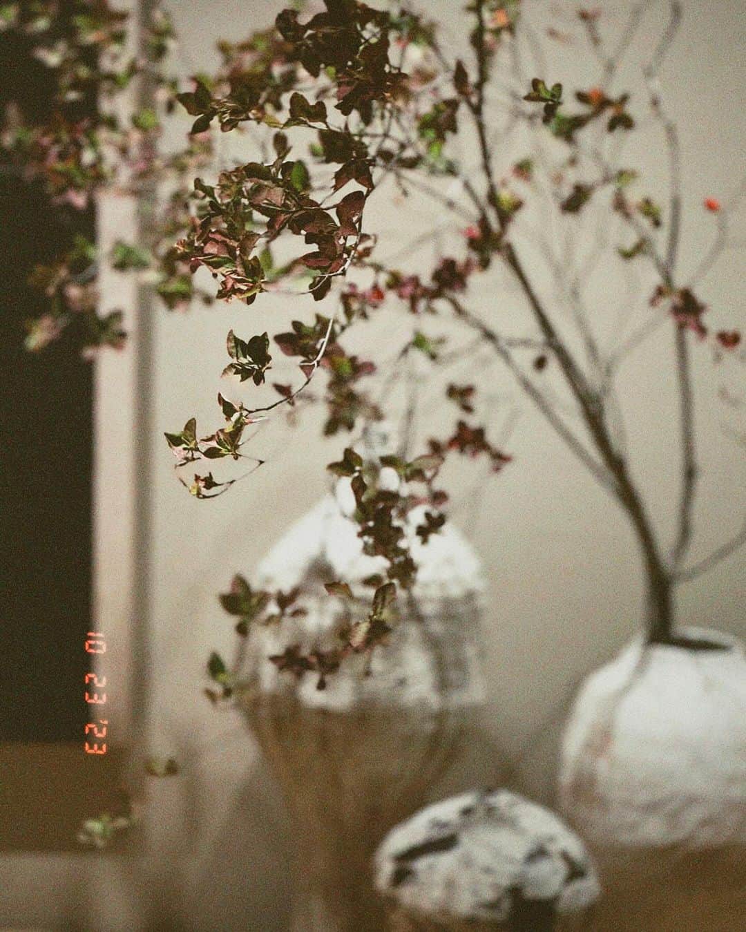 余文樂さんのインスタグラム写真 - (余文樂Instagram)「秋。🍂」10月23日 21時28分 - lok666