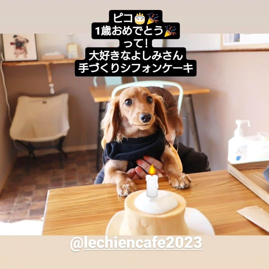 ピックのインスタグラム