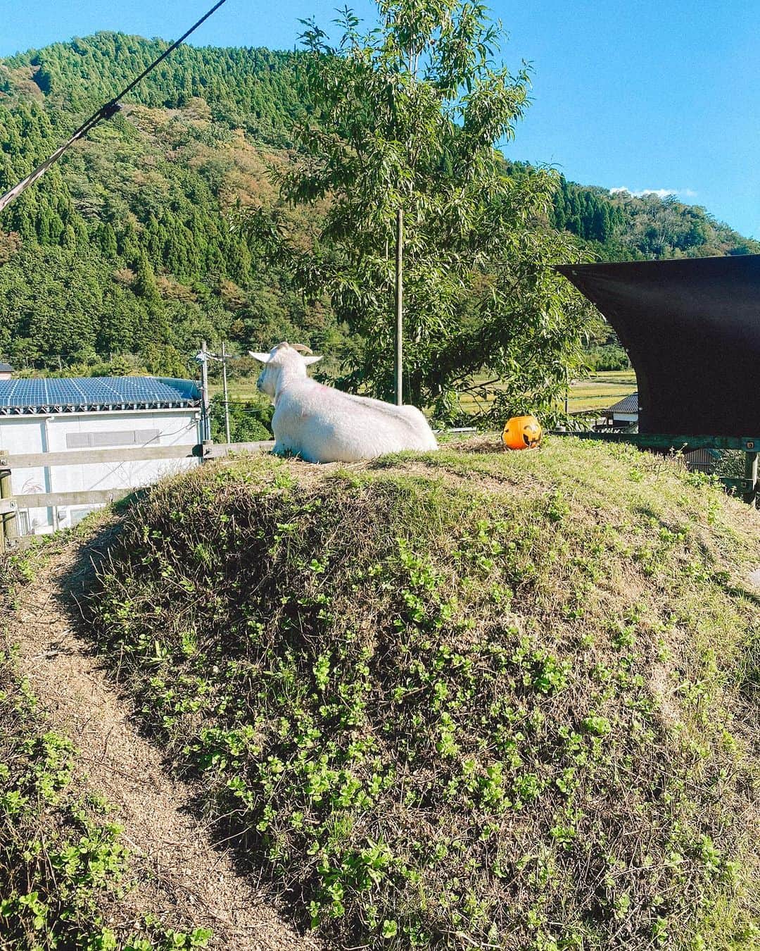 松田 美奈子さんのインスタグラム写真 - (松田 美奈子Instagram)「鳥取の自然、パンケーキ癒🥞  📍@oenosato_resort_505」10月23日 22時24分 - minacoro_