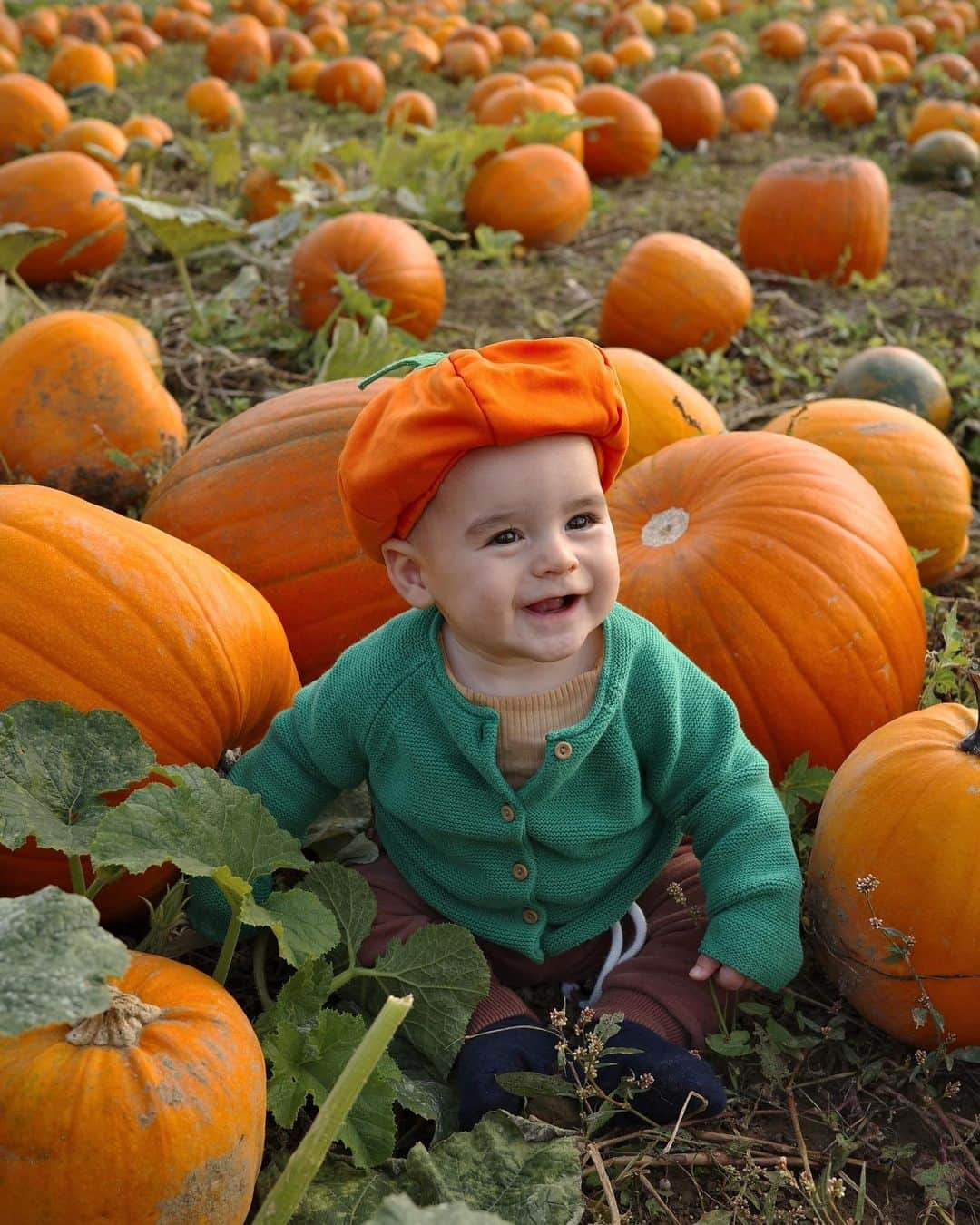 ルイス・コールさんのインスタグラム写真 - (ルイス・コールInstagram)「Autumn moments 🍂 To be honest, I’m not into the spooky stuff. I don’t watch scary movies and some of the Halloween decorations creep me out 😬 But I love everything else about this time of year - the crisp air, cozy evenings, golden leaves, warming soups and countless cups of tea 😍 What about you, what’s your favorite thing about fall?」10月23日 22時34分 - rayawashere