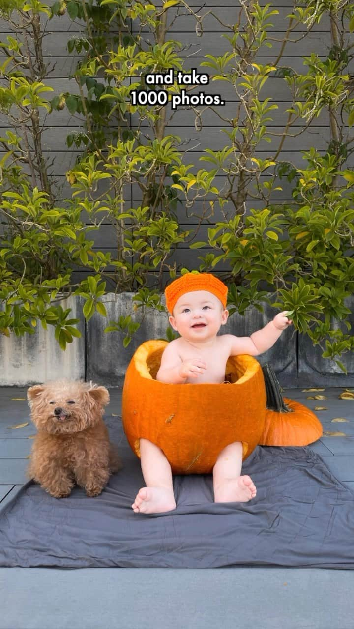 テイラーRのインスタグラム：「Some of my favourite photos 🎃 #babypumpkinphotoshoot #babypumpkin」