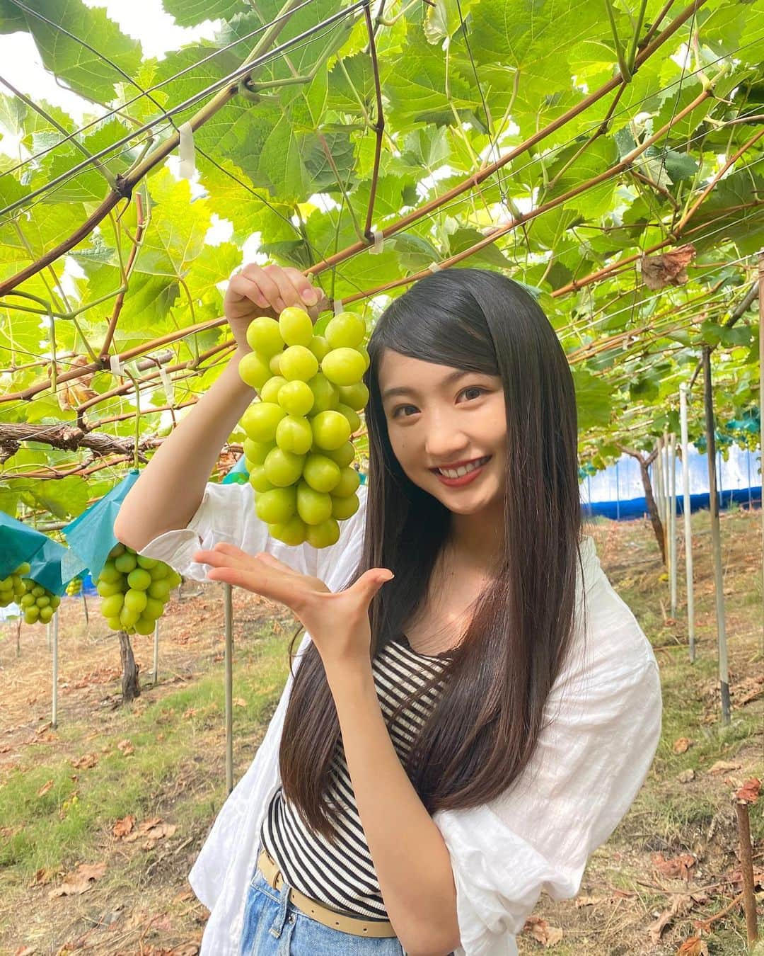 塩月希依音さんのインスタグラム写真 - (塩月希依音Instagram)「シャインマスカット🍇  Shine Muscat  #旅#旅行#一人旅女子 #一人旅#ひとり旅#ひとり旅女子 #大阪#羽曳野#羽曳野市 #シャインマスカット #マスカット#YouTube#ケイト旅#shinemuscat #フルーツ#fruit#jk #ljk #05#05년생 #05line #fyp」10月23日 22時49分 - keito.shiotsuki