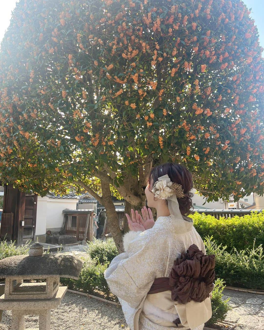 河村美咲さんのインスタグラム写真 - (河村美咲Instagram)「髪の毛を赤み強めでトリートメントしてさらさらにしてもらいました💞 @tsukasa_terakado  さんにキレイにしてもろた💞めーーちゃサラサラに仕上げてもらってサラサラの持続が過去一やった💞  最近街を歩いてると金木犀の香りがして秋を感じる✨🍂　金木犀って咲いてから１週間くらいしか匂いが香らないらしくその時期にしか咲かない花ってとても刹那的で美しくて好き。 京都の清水寺の近くですっっごい大きな金木犀の木を発見して香りが好きすぎてしばらく離れられなかった🤣✨ 金木犀は私の通っていた中学校の中庭に咲いていてこの時期になるとふとした時に自分の意志とは別に勝手に呼び起こされる香りで当時の記憶を思い出す。 香り自体好きでこの時期の街の香りが好き。  #トリートメント #髪ケア #サラサラヘアー #サラサラヘア #サラサラ #サラサラロング #ロングヘア #金木犀 #金木犀の香り #秋 #京都 #kyoto #PR」10月23日 22時53分 - misaki_haaan