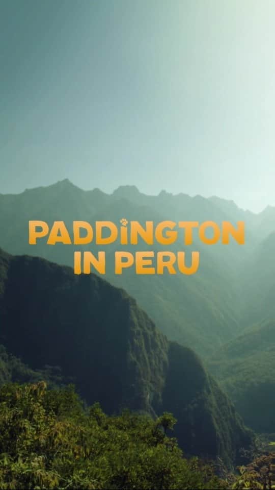 Paddington Bearのインスタグラム：「How marvellous! 🎬🐻🍊  After a very busy summer filled with adventures and new friends, we can finally reveal that Paddington's latest feature film, #PaddingtonInPeru, will be coming to the big screen from November 8th 2024.」