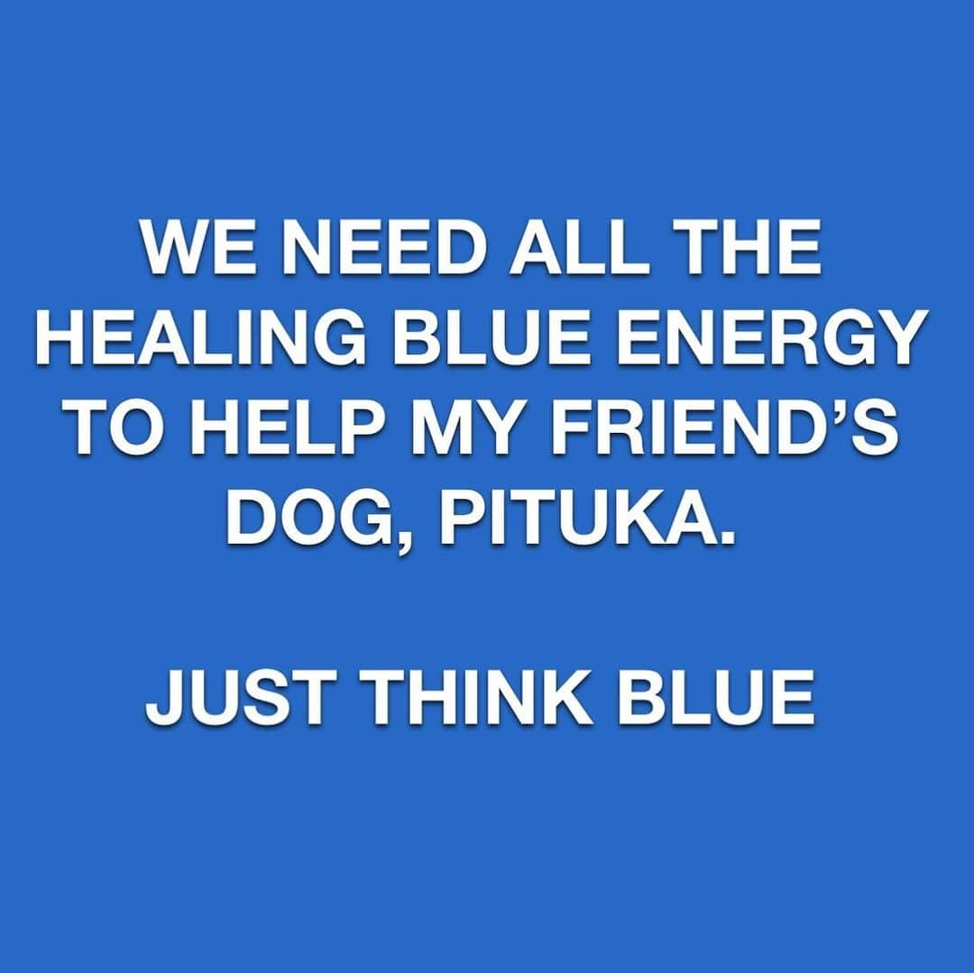 Black Jaguar-White Tiger のインスタグラム：「PAPA BEAR DID ALL THAT MAN CAN DO, IT IS IN GOD’S HANDS NOW. AS IT ALWAYS IS. JUST THINK BLUE, PLEASE… #THINKBLUE #THINKBLUE #THINKBLUE #PitukaBJWT」