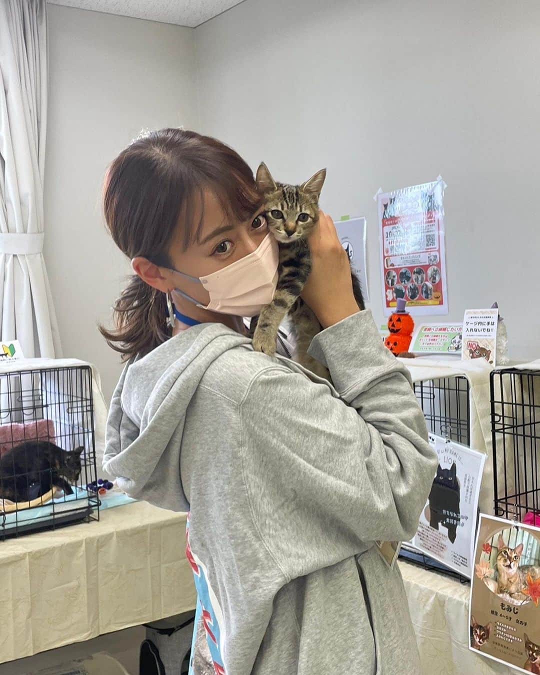 照井和希のインスタグラム：「小さな力が合わされば  大きな力になる。 改めて実感。  いいチームに恵まれて、  無事に第2回目の譲渡会が終了しました👏  大した力も無いし  私は微力で、ちっぽけやけど  続けていく事で、こんな私にも救える命があるから  これからも、もっともっとがんばる𓃠𓈒 𓂂  ４月から救った野良猫の子猫の数が  ２９匹になりました。   自分でも驚く頭数😹☁️  40度の熱が出ても  朝まで頑張って野良猫の捕獲してるし  譲渡会前日も熱出すし  保護猫活動やりだしてから身体が脆くなりました😹  まーー、過酷です。 ほんとに。笑  𓐄 𓐄 𓐄 𓐄 𓐄 𓐄 𓐄 𓐄 𓐄 𓐄 𓐄 𓐄 𓐄 𓐄 𓐄 𓐄 𓐄 𓐄 𓐄 𓐄 𓐄 𓐄 𓐄  猫好き独身女のもがく姿  @kazuki_animal_rescue   応援してね🐈🏠☁️笑  《 保護猫を家族に迎えよう 》  𓐄 𓐄 𓐄 𓐄 𓐄 𓐄 𓐄 𓐄 𓐄 𓐄 𓐄 𓐄 𓐄 𓐄 𓐄 𓐄 𓐄 𓐄 𓐄 𓐄 𓐄 𓐄 𓐄  #里親保護 #保護猫 #こねこ #こねこ部 #里親募集中 #ねこすたぐらむ #ねこのいる生活 #ねこ部 #ねこ好き #ねこと暮らす #保護猫と暮らす #保護猫を家族に #此花区 #大阪譲渡会」