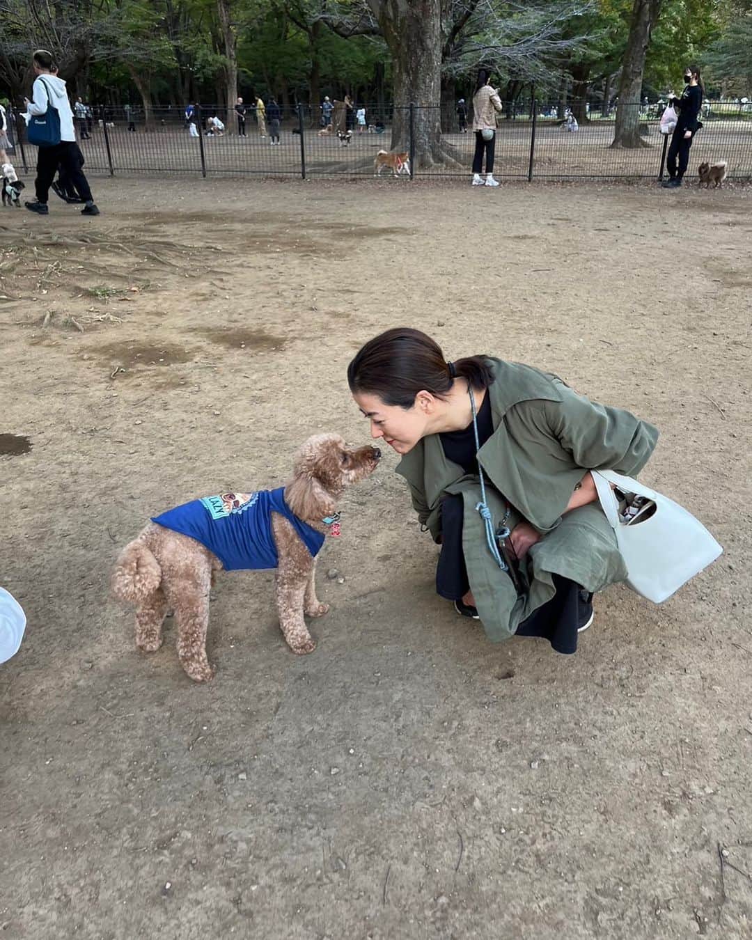 桑原りさのインスタグラム：「@6nana888 ちゃんのワンコ、ノアくん🐕と代々木公園のドッグランへ！しゃがんだら、わんさかワンコたちが寄ってきて、ここは天国かしらと思うほど幸せな空間でした。実家では当たり前の"犬と暮らす生活"だけど、今の私からすると超憧れの生活🐕 でも、こんな生活できたらいいなーって憧れる気持ちを味わっているのも嫌いじゃない。当たり前のことが当たり前ではないというありがたい感覚を味わえるから。そんなことを思った瞬間🐕」