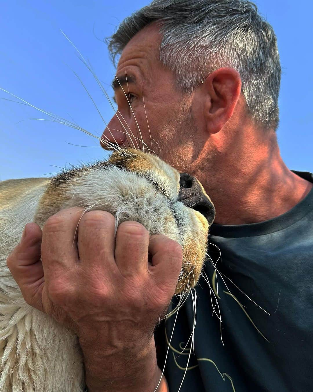 Kevin Richardson LionWhisperer さんのインスタグラム写真 - (Kevin Richardson LionWhisperer Instagram)「Gee whiskers where does the time go!  It’s your last chance to enter my foundation’s competition and win a trip to meet me and the lions here in South Africa! Competition is closing in 2 days time!  What can you win?  • 3x nights luxury accommodation at Kruger National Park • 2x nights at The Kevin Richardson Wildlife Sanctuary • A scenic helicopter flight over Dinokeng Game Reserve (thanks to Richard from @wildskiesaviation) • An unforgettable conservation experience with the anti-poaching team • A day with me and the lions at the sanctuary • 2x return flights from anywhere in the world Follow the Komi link in my bio to enter. Good luck! 🤞🏼 🍀  #partofthepride #pridemember @goodgoodgiving @kevinrichardsonfoundation」10月24日 0時17分 - lionwhisperersa