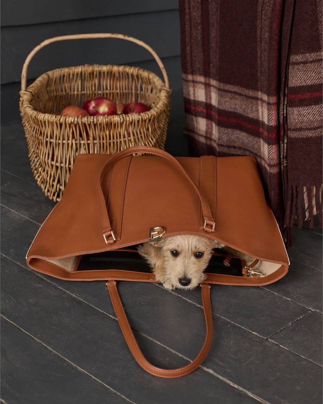 Cole Haanのインスタグラム：「Timeless design and luxurious leather—now that's our kind of doggie bag.」