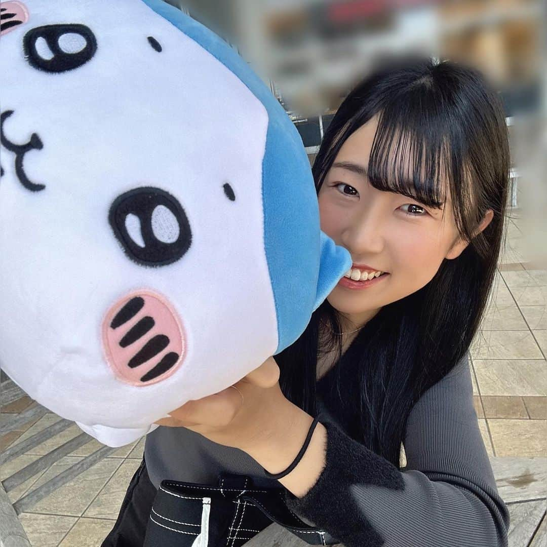 菅沼菜々のインスタグラム：「UFOキャッチャーでハチワレとった☺️🤍」