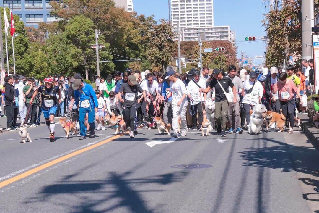 海老名市さんのインスタグラム写真 - (海老名市Instagram)「10月22日、第18回えびな健康マラソン大会を開催しました💨  海老名中央公園と消防署本署前からスタート！市役所前の道路を走りました。  一般・中学生・小学生・親子部門のほか、愛犬部門にもたくさんの方が参加しました。  #好きです海老名 #住みたい住み続けたいまち海老名 #海老名 #神奈川 #ebina #第18回えびな健康マラソン大会 #マラソン大会 #マラソン #秋 #健康 #愛犬」10月24日 10時22分 - ebina_official