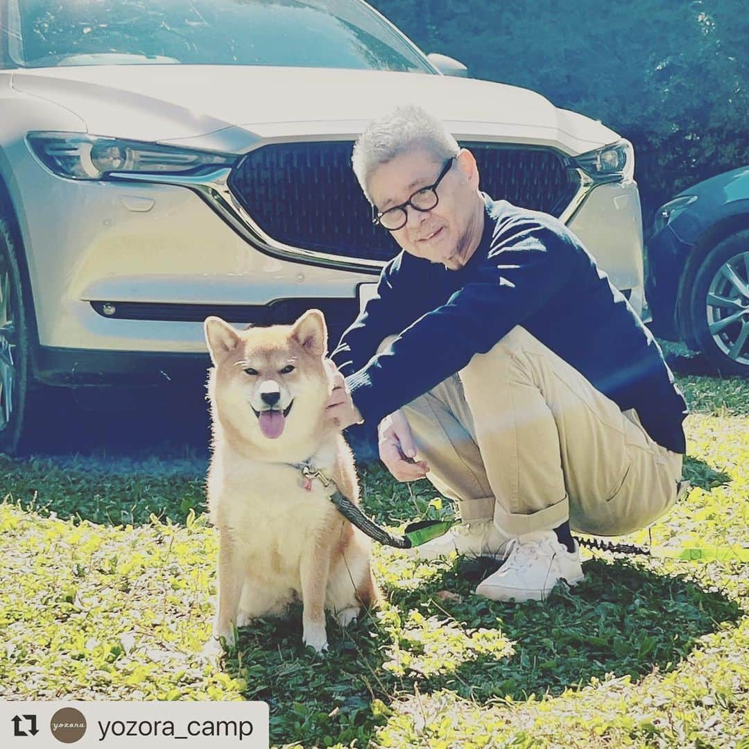 KIKIさんのインスタグラム写真 - (KIKIInstagram)「なんというしあわせ者かしら🐕💛  #Repost @yozora_camp with @use.repost ・・・ あちこち、たっぷり散歩して走って、 大満足な感じで休憩しているのは、 モデルのKIKIさんの愛犬、椿ちゃん。 広い場所で気持ちよかったねー。 糸井重里に「おつかれおつかれ」と 撫でられてさらに気持ちよさそう。  KIKIさんはyozoraのキャンプに ご家族で参加してくださいました。 Kohakuの使い勝手などを 取材させていただく予定です。  （永田）  #ほぼ日キャンプ #yozora_camp #yozora #ヨゾラ #キャンプ #糸井重里 #柴犬」10月24日 10時47分 - kiki_campagnepremiere