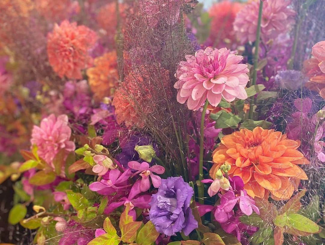 LATOV_ラトブ さんのインスタグラム写真 - (LATOV_ラトブ Instagram)「💐ラトブ2階 入口にて💐 福島県産のお花を使用したフラワーアレンジメントを展示しております♪  🎃ハロウィン🎃10/31（火）まで  展示協力：ラトブ1階 フローリスト花磯  🧙‍♀️🧛‍♂️フォトスポット 記念撮影にどうぞ🧛‍♀️🧌  #ラトブ #LATOV #フローリスト花磯 #いわき #フラワーアレンジメント #ふくしまならではの花」10月24日 11時00分 - latov_20071025