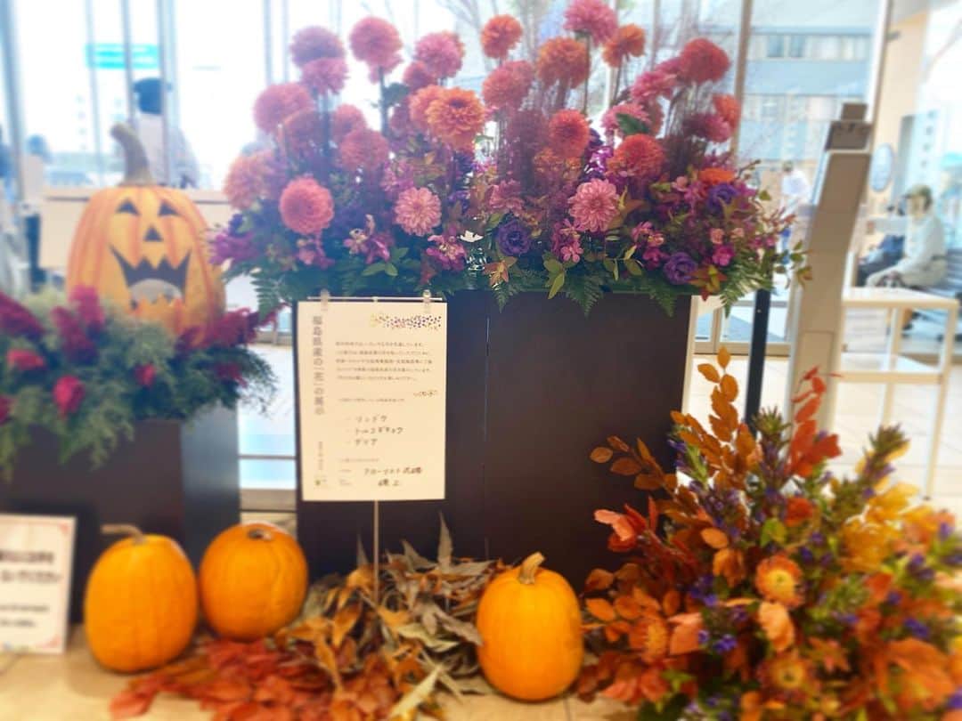 LATOV_ラトブ さんのインスタグラム写真 - (LATOV_ラトブ Instagram)「💐ラトブ2階 入口にて💐 福島県産のお花を使用したフラワーアレンジメントを展示しております♪  🎃ハロウィン🎃10/31（火）まで  展示協力：ラトブ1階 フローリスト花磯  🧙‍♀️🧛‍♂️フォトスポット 記念撮影にどうぞ🧛‍♀️🧌  #ラトブ #LATOV #フローリスト花磯 #いわき #フラワーアレンジメント #ふくしまならではの花」10月24日 11時00分 - latov_20071025