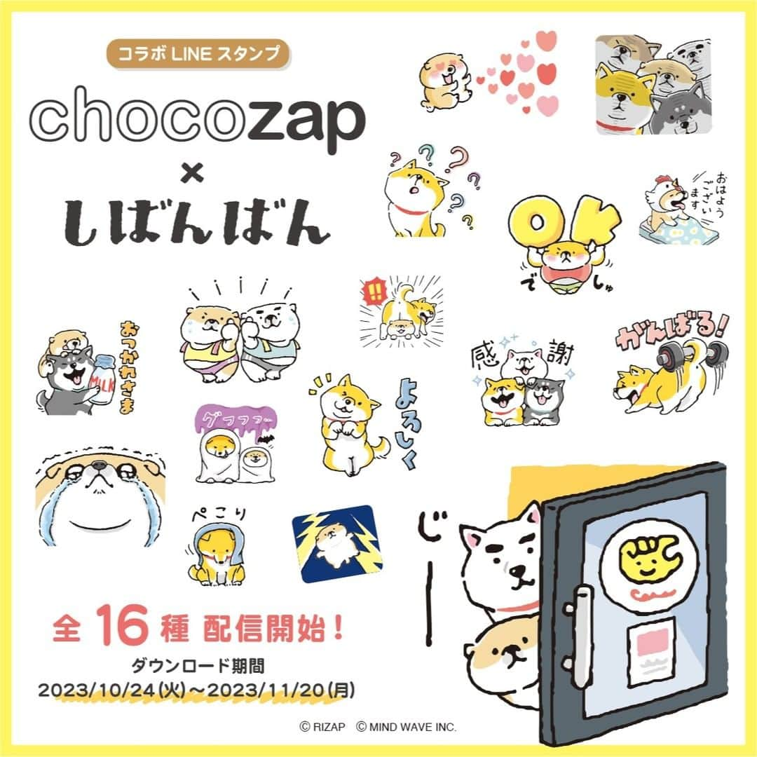 オオゴシヤステルさんのインスタグラム写真 - (オオゴシヤステルInstagram)「⭐️ LINE スタンプ情報⭐️  RIZAPが作ったコンビニジム「chocoZAP」と無邪気な柴犬「しばんばん」のコラボスタンプが登場💪  可愛いスタンプでトークを盛り上げよう‼️  chocoZAP公式アカウントと友だちになるともらえるよ♪  ᕦ(ᐡ・ᴥ・ᐡ)ᕤ (ᐡㆆᴥㆆᐡ)✨  ダウンロード期間：2023/11/20まで ▶️ https://line.me/S/sticker/29483  ストーリーズ または、 ハイライトの「LINE」からもダウンロードページに✈️  #LINE #コラボLINEスタンプ #チョコザップ #chocozap #マインドウェイブ #mindwave #しばんばん #shibanban #むちころばんばん #muchicorobanban #オオゴシヤステル #柴犬 #しばいぬ #shibainu」10月24日 11時05分 - ogoshi_yasuteru