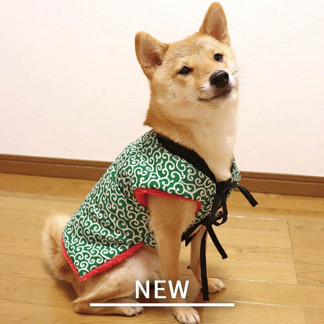 iDog&iCatさんのインスタグラム写真 - (iDog&iCatInstagram)「★新商品★  「愛犬用ちゃんちゃんこ」  中綿入りでふんわりあったかいペットのちゃんちゃんこ。 IDOG&ICATオリジナルの和柄はお正月のイベントにもピッタリ。 吉祥文様のふんわり暖かなちゃんちゃんこです。  商品番号/15341- 商品名/愛犬用ちゃんちゃんこ 2,585円(税込)  #IDOGICAT #犬の服IDOG #ICAT #IDOG #ドッグウェア #ペットウェア #犬服 #犬の服 #秋冬新作 #2023AW #犬 #猫 #新作 #新発売 #dog #cat #わんすたぐらむ #うちの子優勝 #秋冬 #新商品」10月24日 11時37分 - idogicat