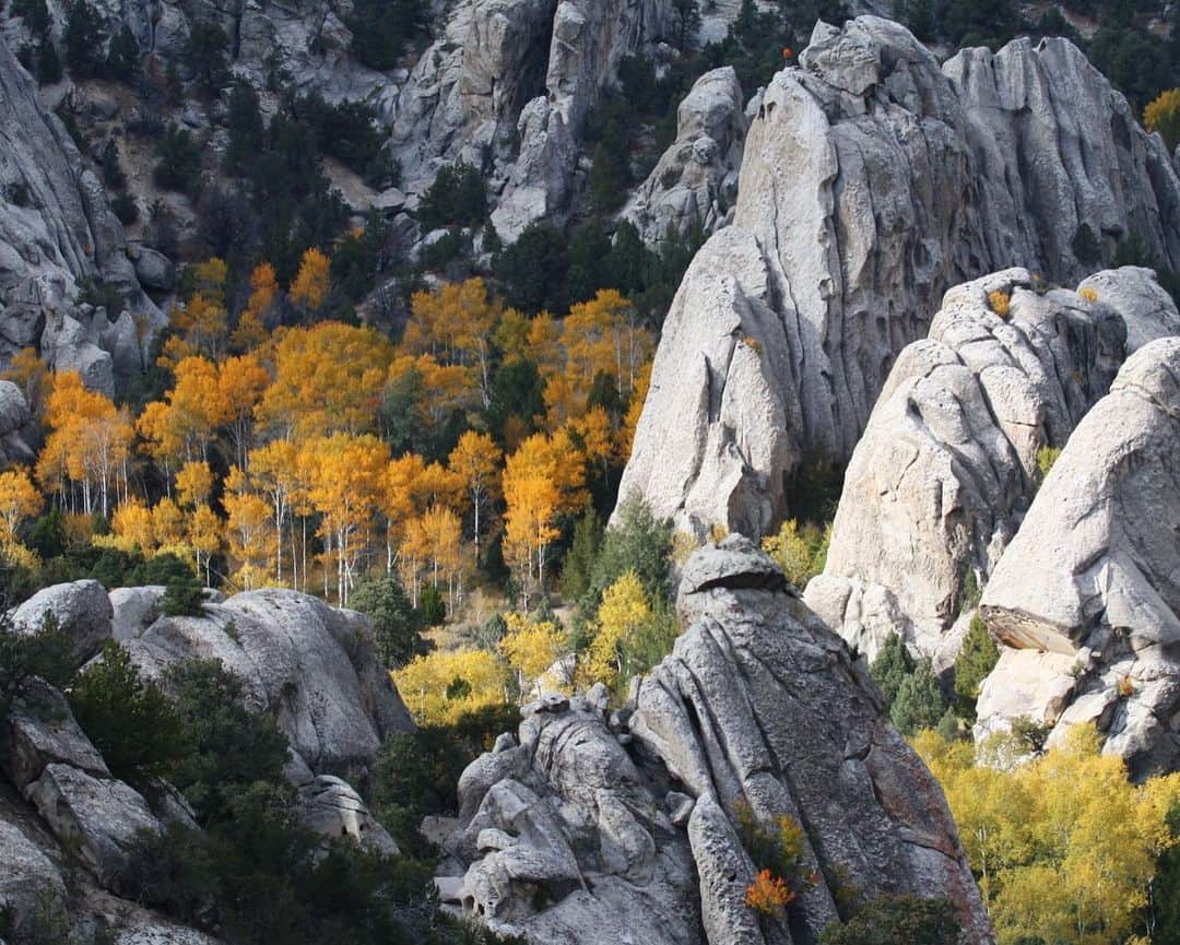 のインスタグラム：「Autumn aspen leaves provide striking color in the heart of @cityofrocksnps in Idaho. The reserve is situated at the south end of the Albion Mountains and features fascinating granite formations, captivating history, scenic beauty and recreational opportunities, including world-class rock climbing. 🍂🍁🍂   Photo by NPS    #cityofrocks #idaho #fall #publiclands   Alt Text: Clusters of bright yellow, orange and green aspen trees stand among large, gray rock formations.」