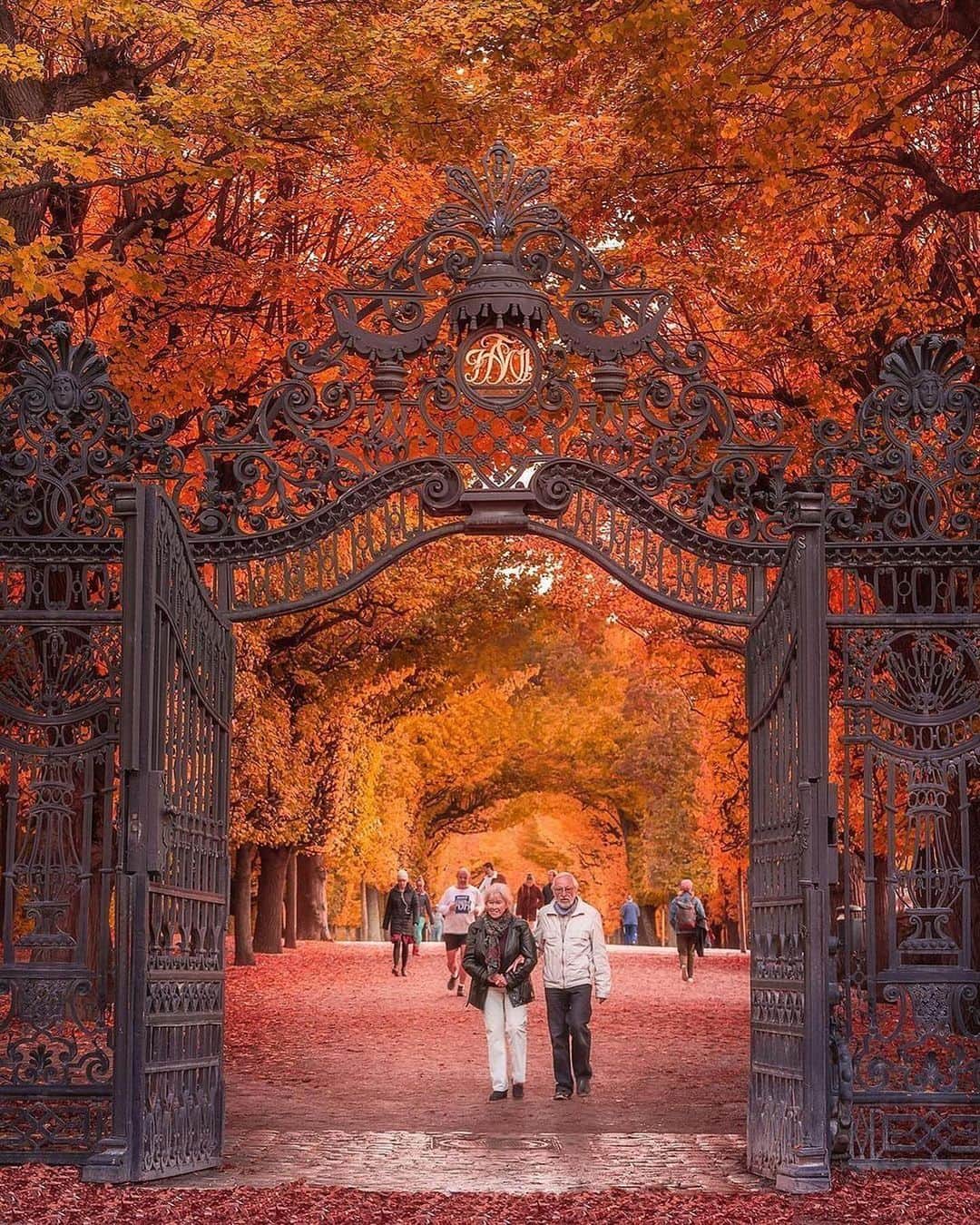 Wien | Viennaさんのインスタグラム写真 - (Wien | ViennaInstagram)「Vienna in all its autumn glory 🍁Which places in the city are your favourites this time of the year? ❤️ @nagyloryphoto #ViennaNow  #wien #wienliebe #vienna #stadtwien #visitvienna #viennagram #vienna_city #vienna_austria #ilovevienna #viena #viennablogger #viennacitycard #autumn #autumnvibes #autumnleaves #autumncolors #park #garden #nature #schönbrunn #schlossschönbrunn #travel #traveleurope #feelaustria #austria」10月24日 3時11分 - viennatouristboard