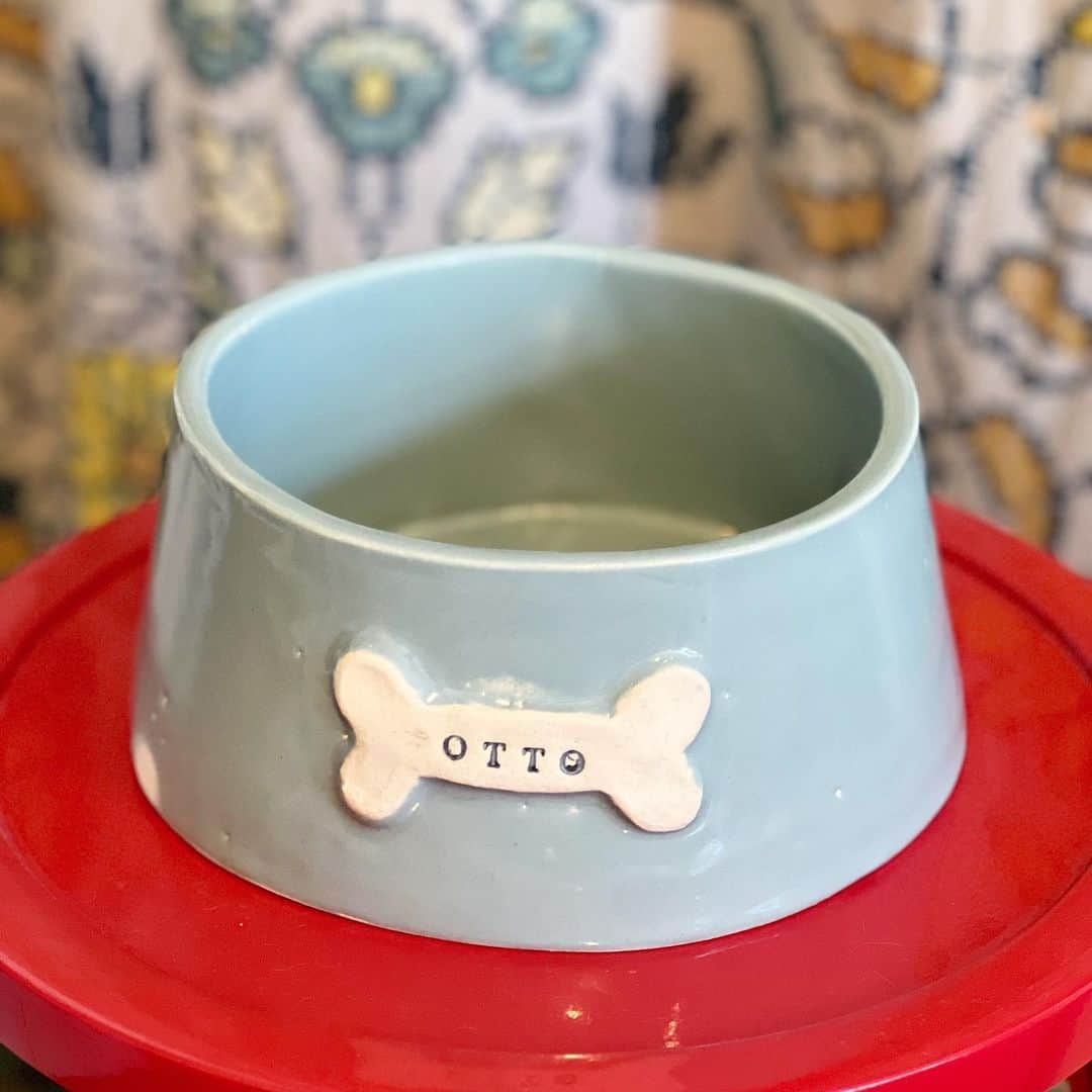 Dogs by Ginaさんのインスタグラム写真 - (Dogs by GinaInstagram)「Our friend Whitney of @vallejoclay dropped of this super cute bowl today.   It’s a great example of what YOU could make at the bowls and tags even November 11th!   Head to her profile and register today!」10月24日 3時50分 - napanatural.dogco