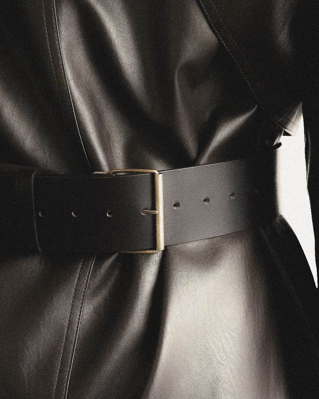 JanessaLeoneさんのインスタグラム写真 - (JanessaLeoneInstagram)「JETT____ A wide leather belt accompanied with solid brass roller hardware and made locally in Los Angeles.」10月24日 4時01分 - janessaleone