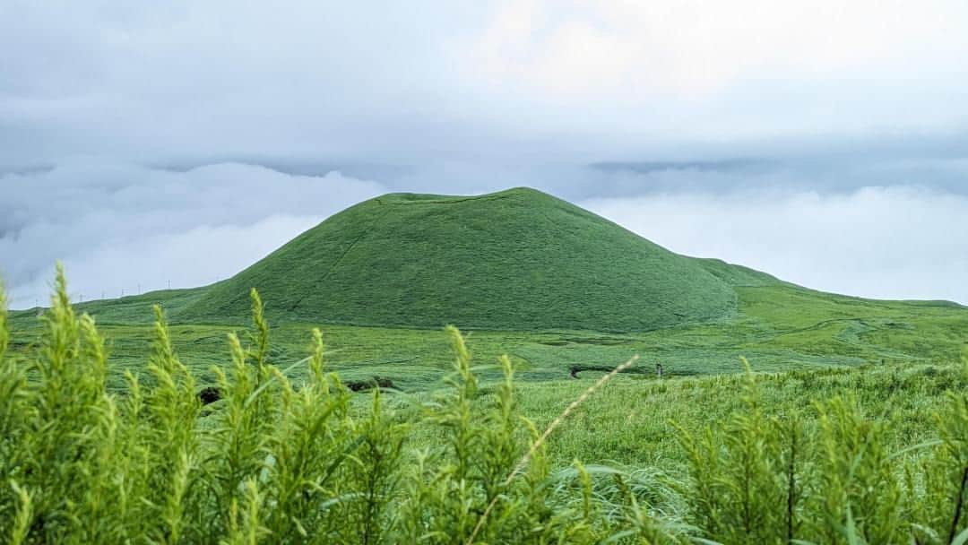 The Japan Timesさんのインスタグラム写真 - (The Japan TimesInstagram)「In total, 440 volcanoes dot the Japanese archipelago. Of these, 111 are classified as currently active. The specific mechanisms of local geology meant that only 12 of these volcanoes developed into calderas — the concave landform left behind when a subterranean magma chamber empties, causing the ground above to collapse. Rare as these might be, none are quite like the Aso caldera. Read more via the link in our bio.  📸: Owen Ziegler  #volcanoes #Kyushu #Aso #travel #Japan #Japantravel #cycling #hiking #nature #kyushutravel #九州 #火山」10月24日 5時21分 - thejapantimes