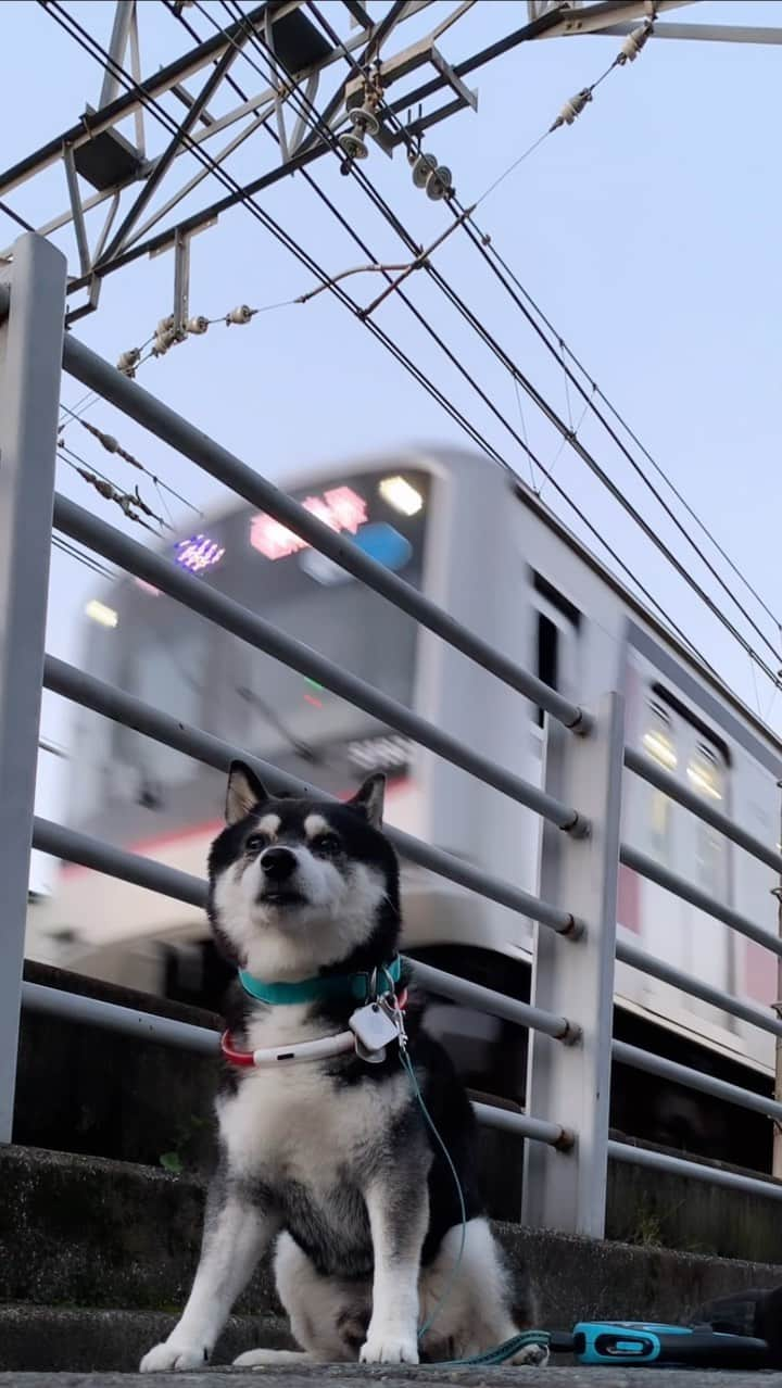 くろのインスタグラム