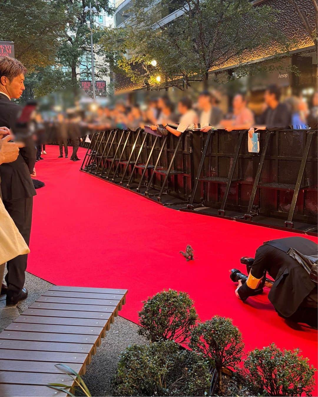 浜辺美波さんのインスタグラム写真 - (浜辺美波Instagram)「#浜辺美波 公式Xより  『ゴジラ-1.0』 東京国際映画祭レッドカーペットに参加させていただきましたーー🧑‍🌾 ミニゴジラ先輩も歩いてました… うっかり神木先輩と髪型が似ちゃって、頭が双子でした…申し訳ない… 来てくださった皆様、ありがとうございましたーー！」10月24日 6時03分 - minami_829_gram