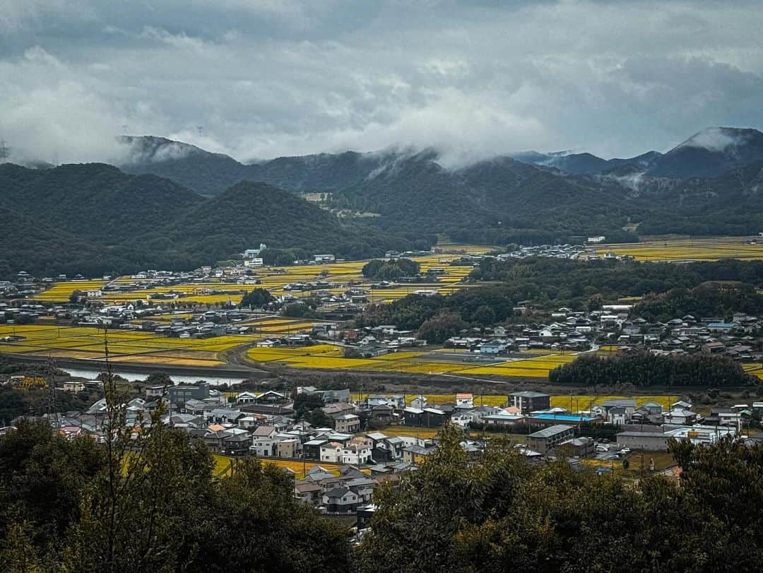 宇野陽介さんのインスタグラム写真 - (宇野陽介Instagram)「BMXは、バイシクルモトクロス。 どこでも楽しめるカルチャー。 Urban & Country Side どちらも走破。 タフネスでクールなハードウェアがあれば リアルな環境を楽しめる✌️  #aresbikes #bmx #flatland #freestyle #streetculture」10月24日 7時00分 - yorkuno