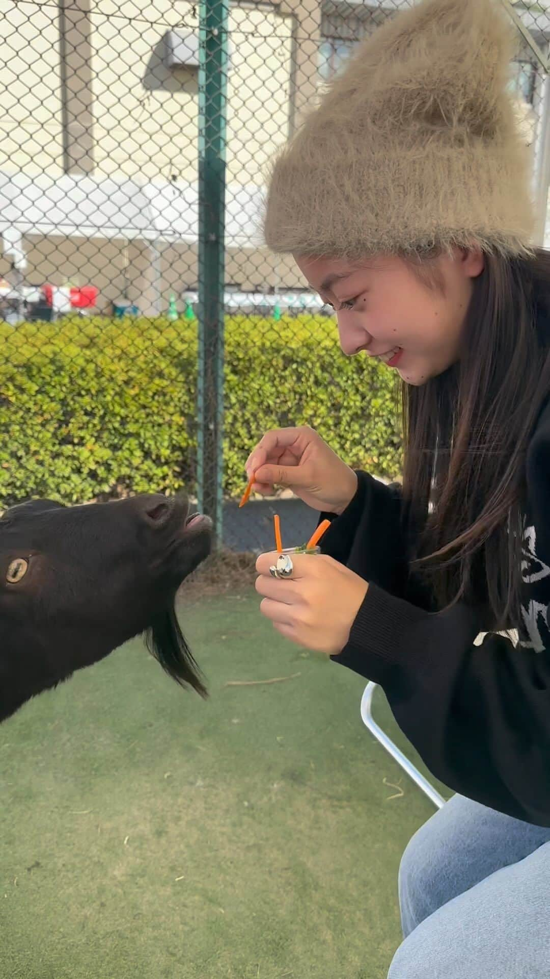 Ayamiのインスタグラム：「黒ヤギさんに餌やり🐐」