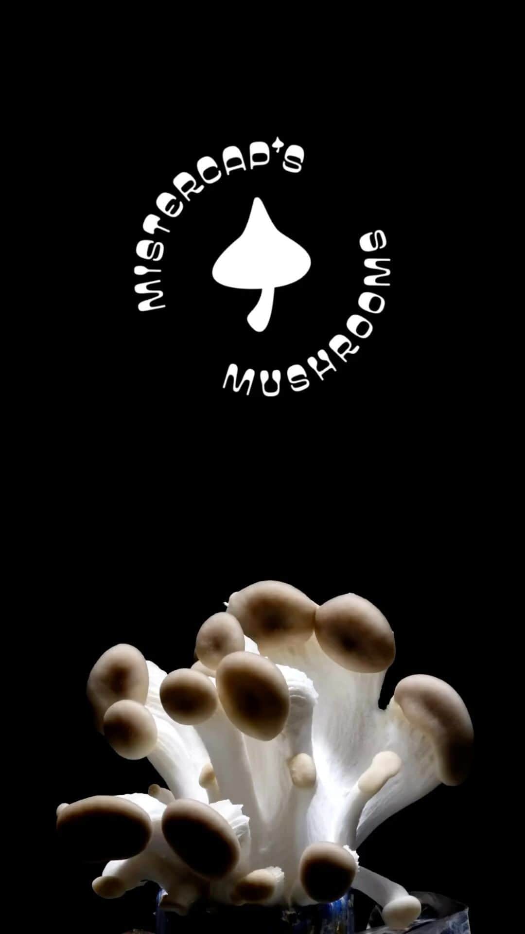 ウィズ・カリファのインスタグラム：「Growing mushrooms like 😍🍄🤩」