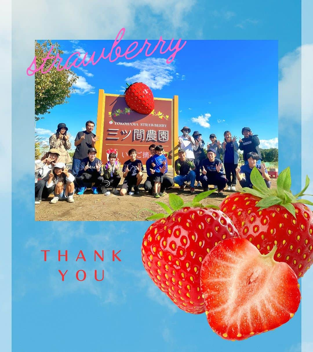 三ツ間卓也さんのインスタグラム写真 - (三ツ間卓也Instagram)「🍓 10/20 激務最終日🚧  最終日はなんと16名の方に集まっていただき🤝  数日間の激務を終えることができました👏  中には6日間中…4,5日間きて頂いた方も😭  手伝って頂いた皆さん本当ありがとうございました🙇🙇  従業員共々感謝しております🥹！  今後は三ツ間農園に親心を持って見守っていただけると嬉しいです😍👍  本当にありがとうございました😊！！  🍓クラウドファンディング出資者様⬇️  @ @  #三ツ間農園#横浜いちご#いちご狩り#白いちご#ピンクいちご#元プロ野球選手#中日ドラゴンズ#逃走中#代打三ツ間#딸기#草莓#fresa#少年野球#高校野球##大学野球#社会人野球」10月24日 8時06分 - mitsuma_takuya_43_15