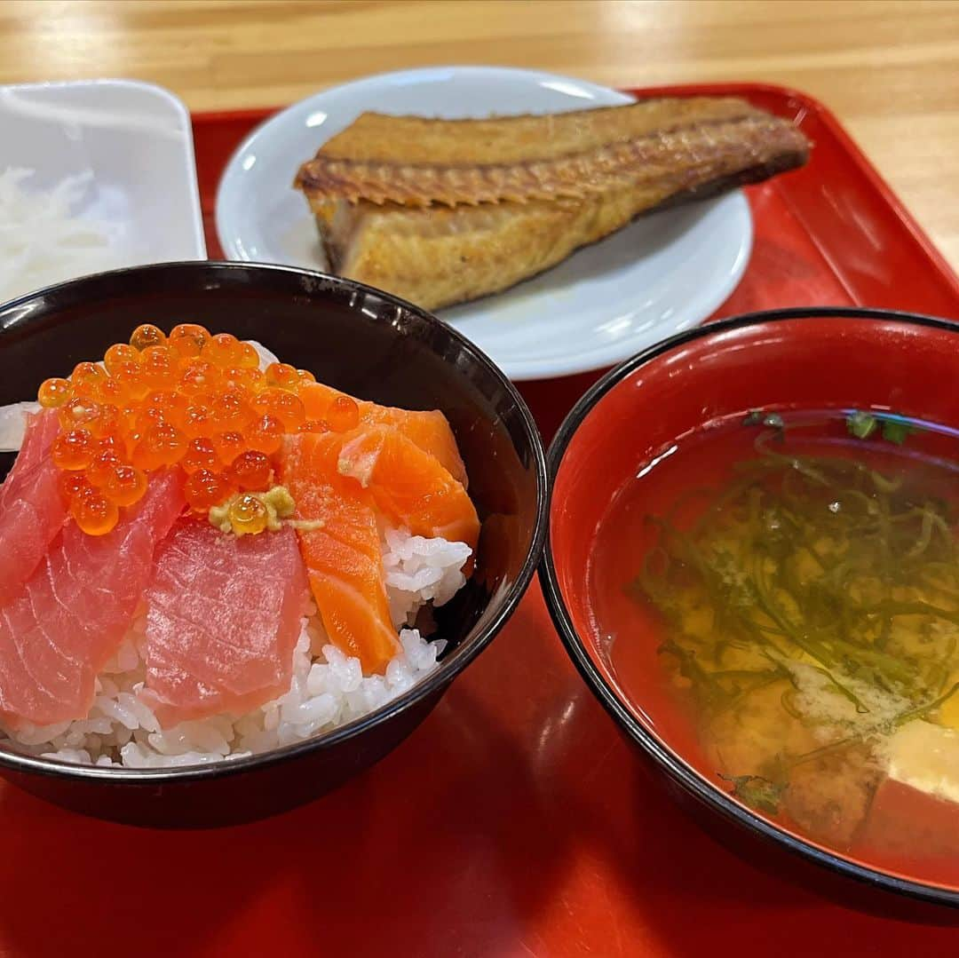 フルカワミキさんのインスタグラム写真 - (フルカワミキInstagram)「昨日の早朝、八戸の陸奥湊の朝市、魚菜市場で朝ご飯。　  ここは亡き祖母も仕入れをしていたゆかりの場所なので、新しくできた市場を見たかったし、 必ず朝市でご飯食べる、と決めていた。  お刺身やいくらを別々で買って、ご飯に盛り。  お味噌汁はがごめ昆布さ。ほっけも知っている安定の味。  お魚、とてもおいしい…。安い。  欲求たかぶっていたので、焼き魚とお刺身。  八食センターより小ぶりだけれど、見やすくてありがたい。  食後のコーヒー100円。 朝ご飯をたべ、早々帰ってきた。  奈良さんから、まさかの海岸線にある小舟渡食堂の話が出て、「３回行って全部閉まっていてまだ入れていない」と。  以前、私も行ったが、休暇の張り紙がしてあって入れなかった…。というか、周りも行けたことがある人がいない。 でも、おいしいって話は聞く。謎です。  皆、何年越しで入れていないのだろう。  近々、リベンジしたい。」10月24日 8時24分 - miiikiiicom