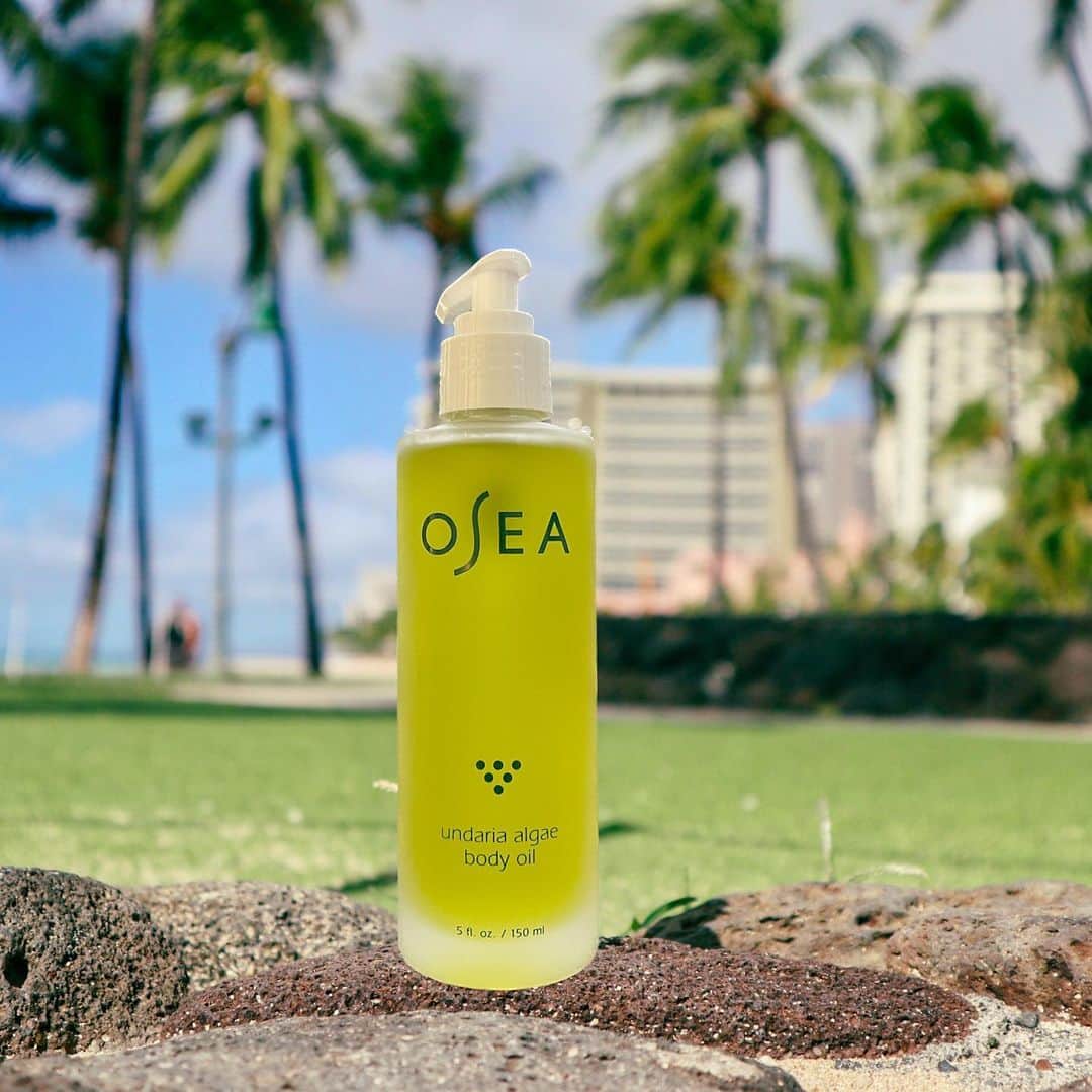 Belle Vie Hawaiiのインスタグラム：「OSEA 海藻オイル🌎 海洋成分が肌に浸透。過酷な乾燥を乗り切る心強いボディオイル✨ 空気が乾燥するこの季節🍁気がつくと肌が砂漠状態なんていう事ありませんか？  パッションフルーツやアサイーなど14種類の植物エッセンスに海藻成分が配合されたミネラルたっぷりのオイルは高い抗酸化作用で繊細な肌をガード🙌1日中肌を乾燥から守ります🥰  柑橘の中にフローラルがほんのり香るOSEAのシグネチャーアイテムで乾燥を乗り切りませんか？  店頭営業時間: 10am-9pm ワイキキショッピングプラザ1階  #乾燥に負けない #美容と健康 #ハワイ生活 #belleviehawaii #ワイキキショッピング #oseamalibu」