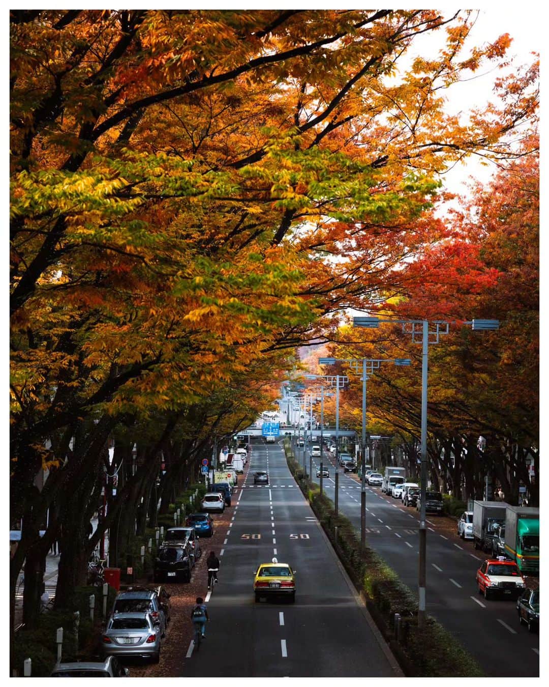 Takashi Yasuiのインスタグラム：「Tokyo 🍁 November 2016  📕My photo book - worldwide shipping daily - 🖥 Lightroom presets ▶▶Link in bio  #USETSU #USETSUpresets #TakashiYasui #SPiCollective #filmic_streets #ASPfeatures #photocinematica #STREETGRAMMERS #street_storytelling #bcncollective #ifyouleave #sublimestreet #streetfinder #timeless_streets #MadeWithLightroom #worldviewmag #hellofrom #reco_ig」