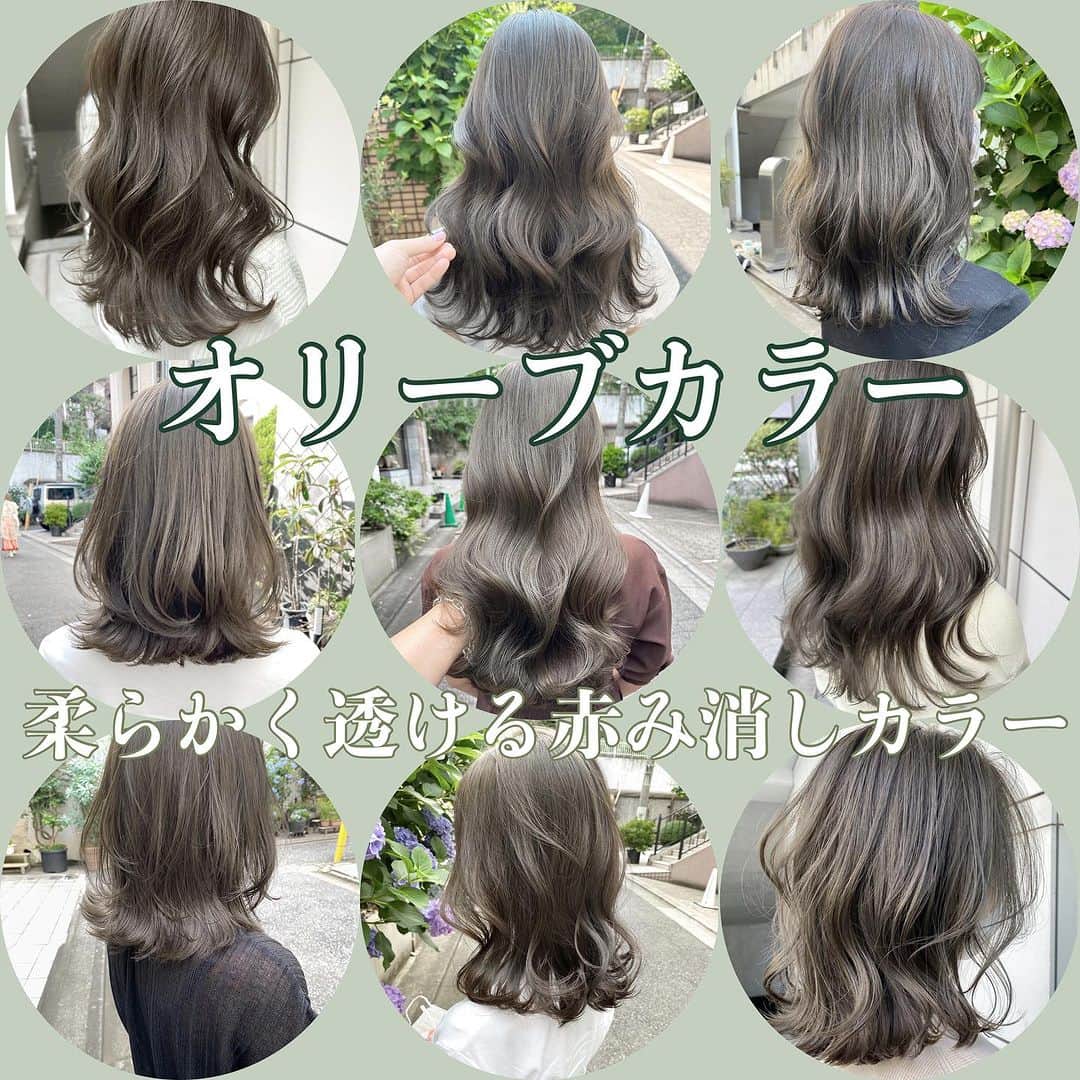 原宿表参道スガシュンスケのインスタグラム：「💚🩶秋冬の透明感オリーブカラー🩶💚 ⁡ 赤みをしっかり消したオリーブカラー🫒明るめが好きなお客様はオリーブベージュ、濃ゆ目や落ち着いた明るさがお好みなお客様、色もちを長引かせたいお客様はオリーブグレージュがオススメです🙇🏾‍♀️最新のプレミアムケアカラーで抜群の透明感とツヤツヤの最強コンビで超ダメージレス🌟😋 ⁡ プレミアムケアカラーのメニューにはイルミナカラー等の追加料金のかかるカラー剤はもちろん、プラスしてカラー剤に最新の処理剤を添加することにより、今回のカラーのダメージを抑えるのみならず、今までのカラーダメージを補修しながら施術ができます💇🏼‍♀️ ⁡ イルミカラーメニューにプラス1100円でも変更可能です🌸 ⁡ 透明感がありつつも上質な艶のある髪の毛にするためには、カラーやトリートメントはもちろんですが、カットベースもとっても大事です🤎 ⁡ 似合わせを大切にしたベースカット、毛量調整、質感調整にとてもこだわりがあります！ ⁡ トータルでプロデュースさせて頂きます☀️ ⁡ 赤みをしっかり抑えつつ、暗くなりすぎないオリーブカラー💚 オフィスでも浮かない明るさ設定で安心☀️ ⁡ 暗髪や縮毛履歴のある方はブリーチ無しダブルカラー(ダブルケアカラー)がお勧め！ ⁡ また、白髪が多くすぐに根元が気になってしまうお客様、白髪染めを卒業していきたいお客様も合わせてご相談くださいね🙋🏽‍♀️ ⁡ 🌸白髪染めを使わずに白髪を染める🌸 最新の施術方法になります☀️ ⁡ プロフィールハイライト欄に ⁡ 【白髪染め卒業(白髪活かし)】 ⁡ こちらにまとめてあります🐶 ⁡ 【  @tierra_shunsuke_suga 】よりご覧ください😊 ⁡ ✔️黒めの白髪染め履歴や黒染め履歴がある ✔️黒髪スタート ✔️縮毛矯正の履歴がある ✔️マニキュアやヘナ等 ⁡ 複雑な履歴のある方は初回の状態によっては2〜3回以上のご来店で髪の毛を育てていく必要があります😊 ⁡ 責任をもって理想の髪まで導きます❤️ ⁡ 【ショートやボブのカットも大好き🌟】 見やすいようにアカウントを分けてあります ⁡ 【  @tierra_suga_shortandbob 】 ⁡ ✔️ご予約どしどしお待ちしております🤎 今週のご予約も大歓迎です🙆 ⁡ ✔️学生〜OL、主婦層の方、生活環境に合わせてご提案させていただきます🤩 ⁡ 〜髪の毛を育てるカラーでツヤと透明感の共存💘〜 ⁡ ⁡ ★もっと髪色の透明感がほしい！ ★赤みオレンジ味が消えない！ ★似合う髪型がわからない！ ★今までで１番可愛くキレイになりたい！ ★白髪染めでもおしゃれに染めたい！ ★白髪染めを卒業したい ★朝のスタイリング時間短縮したい！ ★ツヤサラで感動したい！ ★過去のハイライトベースで困ってる ★ダメージが気になる ！ ⁡ どんなお悩みでもご相談頂ければ、全力で施術致します🙇🏾‍♀️ お客様の今までの一番を目指して、丁寧なカウンセリングと圧倒的な経験値で全力で可愛くします😎  ⁡ ⁡  ＊ご新規様限定クーポン＊ ⁡ 【カット＋プレミアムケアカラー＋Aujuaトリートメント】24300円→22000円 (指名料込み) ⁡ 【＊最高級プラン＊プレミアムケアカラー＋超音波Aujuaトリートメント＋カット】¥27500→¥23100(指名料込み) ⁡ 【髪質改善プレミアムケアカラー】美髪エステ＋イルミナカラー＋カット ¥29150 ⁡ 【髪質改善】美髪矯正(縮毛矯正)＋似合わせカット ¥25850 ⁡ 【髪質改善】美髪エステ＋似合わせカット ¥22550 ⁡ 【プレミアムケアカラー＋Aujua超音波トリートメント】¥22000→¥18700 ⁡ 【プレミアムダブルケアカラー(ブリーチなしダブル)+aujuaトリートメント】 ¥30800→¥25300 ⁡ その他パーマメニュー含むクーポン多数あり🌟 ⁡ 𝑻𝒊𝒆𝒓𝒓𝒂 𝐒𝐓𝐎𝐑𝐄 𝐌𝐀𝐍𝐄𝐆𝐄𝐑/𝐃𝐈𝐑𝐄𝐂𝐓𝐎𝐑/𝐒𝐔𝐆𝐀 𝐒𝐇𝐔𝐍𝐒𝐔𝐊𝐄  メインアカウント【 @tierra_shunsuke_suga 】 ショートアカウント【 @tierra_suga_shortandbob 】 ⁡ ➖➖➖➖➖➖➖➖➖➖➖➖➖➖➖➖➖➖ ▷ 𝑻𝒊𝒆𝒓𝒓𝒂 ▷東京都渋谷区神宮前6-28-3 Gビル神宮前06 B1F  ▷Tel 0364188005  月曜日〜金曜日 11:00〜20:30 土曜日  10:00〜20:00 日曜日 祝日  10:00〜19:00 毎週火曜定休(※祝日の場合は営業) ➖➖➖➖➖➖➖➖➖➖➖➖➖➖➖➖➖➖」