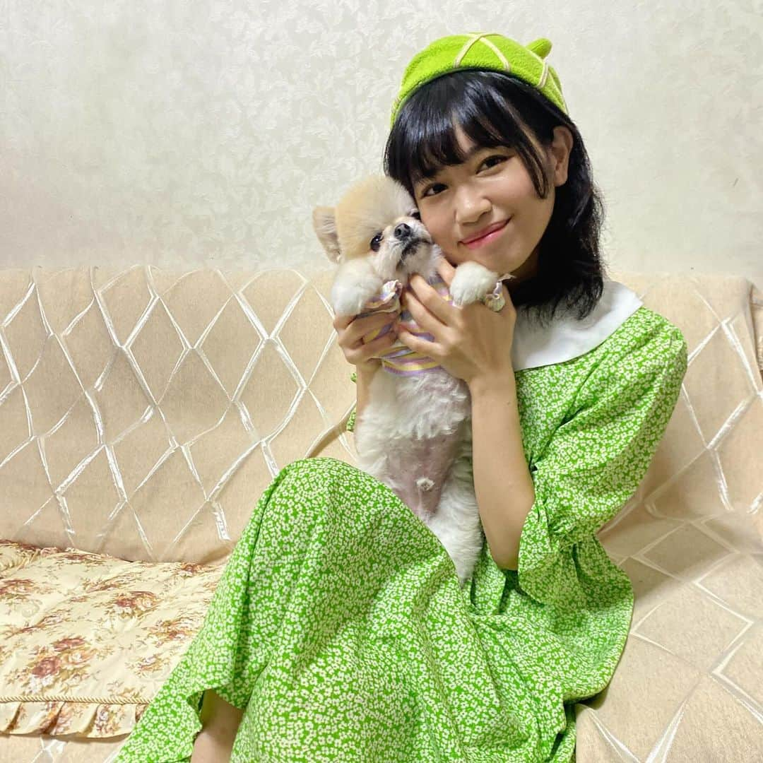 山口めろんさんのインスタグラム写真 - (山口めろんInstagram)「#月刊ピアノ オフショットでーす(●^▽^●)/ #ポメラニアン #ポメラニアンが世界一可愛い #ポメラニアン部」10月24日 19時47分 - memememelonchan