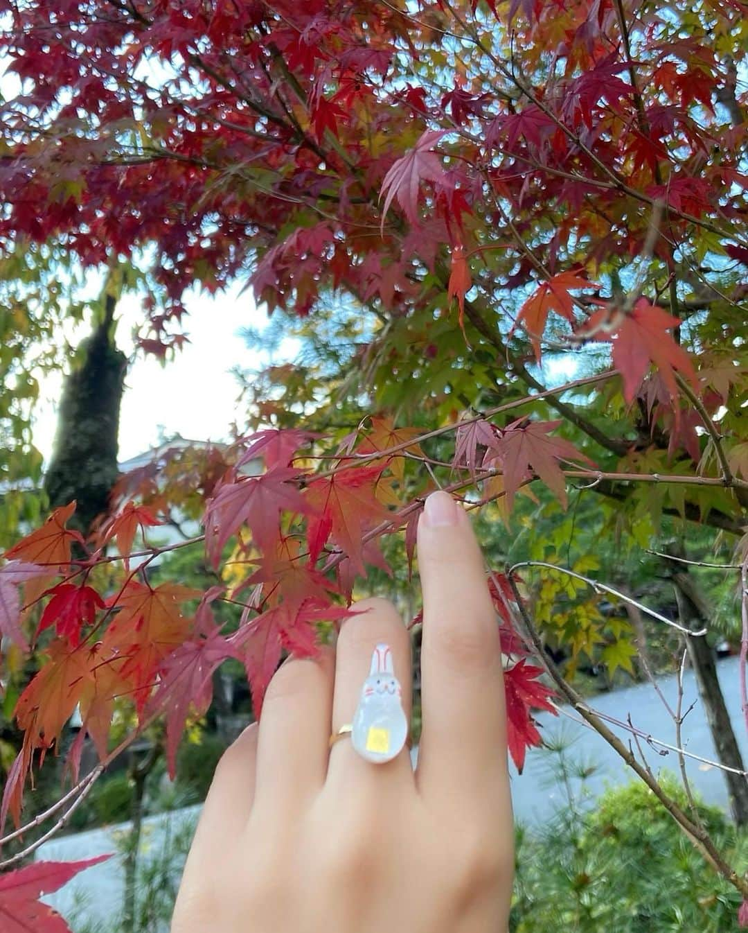 高樹リサさんのインスタグラム写真 - (高樹リサInstagram)「🍁.」10月24日 19時51分 - lisalisa_takagi