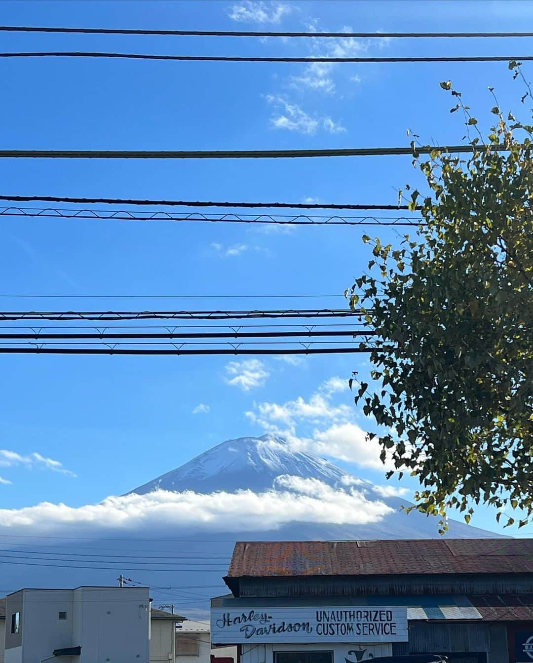 中村りおんさんのインスタグラム写真 - (中村りおんInstagram)「山梨県でリフレッシュしてきたー🪽💚 自然のパワーって素敵✨ ⁡ 大自然でサウナもできて大満足っ ̫ -˘◝✩ ・ そして！明日でnuts雑誌予約バトル 締切です！ 一冊でもりおんの力になってくれると嬉しいです♡ お願いします🥺 ・ ・ #nuts #fashionista#followme#l4l #instagood#fashion#style #streetstyle #gal#likeit#liketime#model#ootd #셀카 #셀스타그램」10月24日 20時07分 - rion_nakamura89