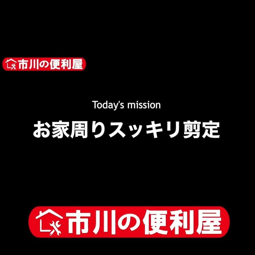 桑田ます似のインスタグラム：「暴れた庭木20本剪定【40,000円作業ダイジェスト】 https://youtu.be/nfxkYce7yT8  軽トラ2台分剪定ゴミ処分費用●万円Σ(ﾟдﾟlll)　 おまけ▶便利屋なぞ掛け！ 今回の出張エリア：市川北部」