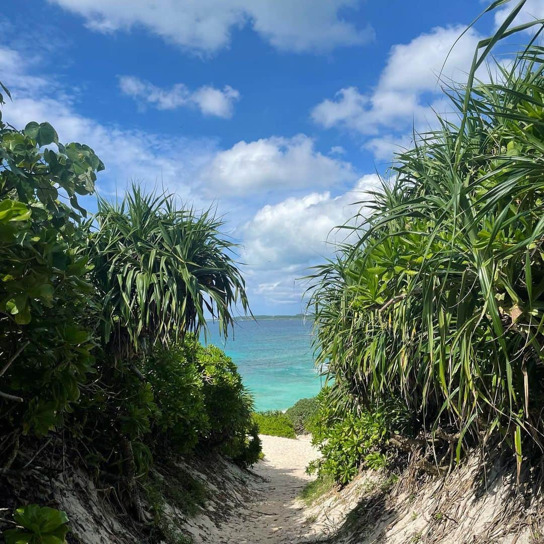 橋本和花子さんのインスタグラム写真 - (橋本和花子Instagram)「* いつかの宮古島🏝️ ここの沖縄そばのお出汁、水筒に入れて 持って帰りたいくらい美味しかった… 快晴で朝日にも夕日にも星空にもうっとり🫠」10月24日 20時03分 - wakako__hashimoto